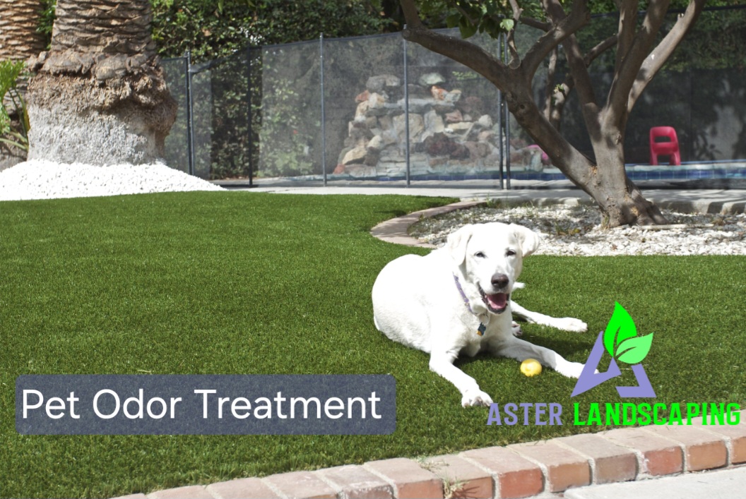  for Aster Landscaping in Temecula, CA