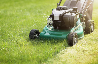  for Rodge Dawg Services and Property Management LLC in Port Huron, MI