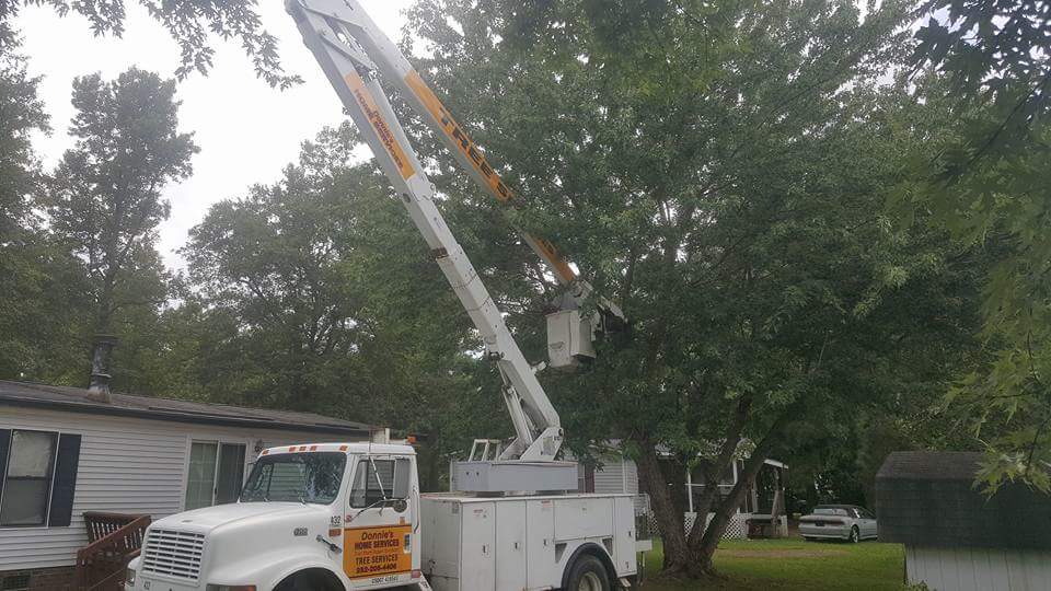  for Donnie's Tree Services in Wilson, NC