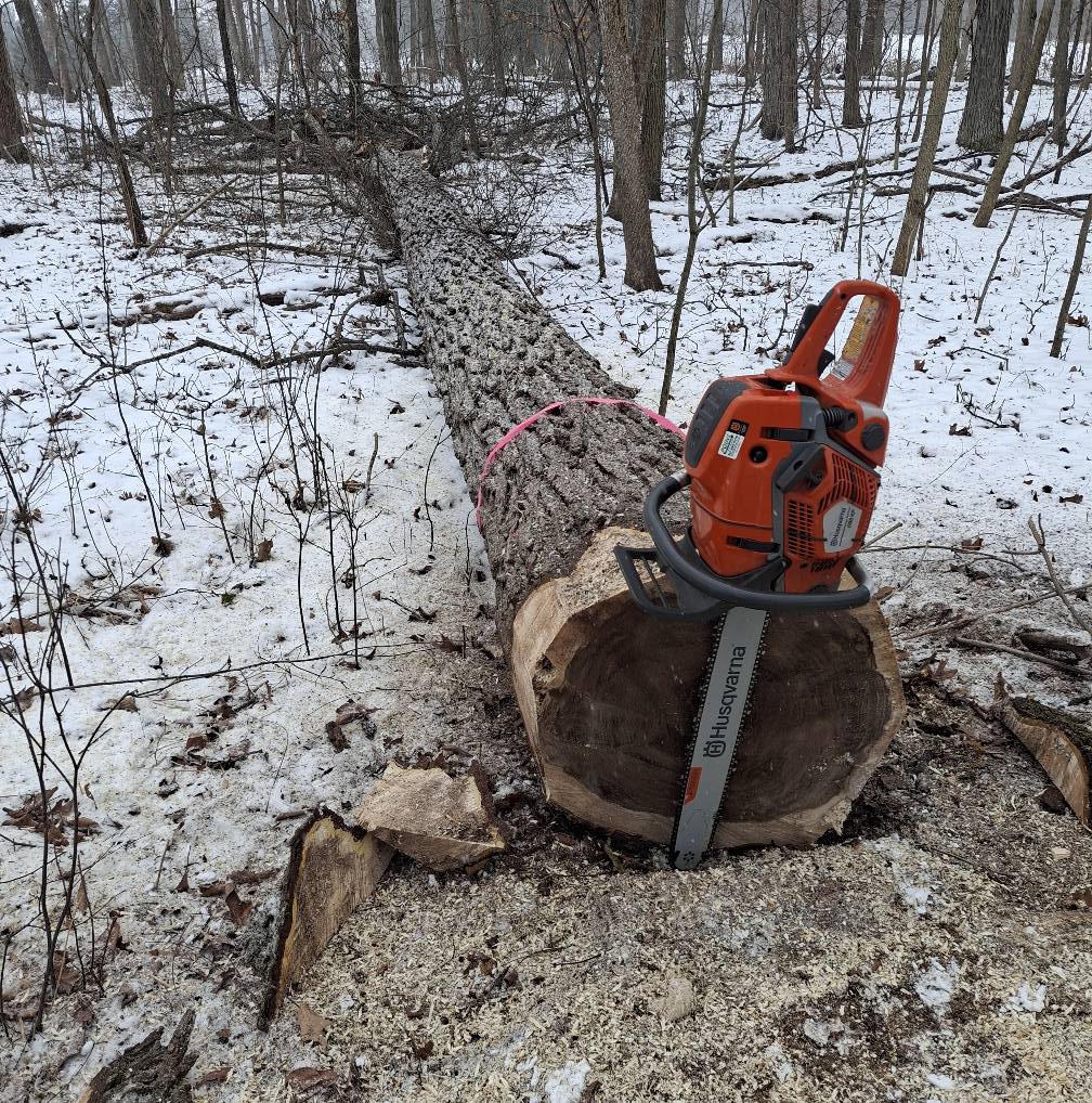 God's Country Timber Management team in Hillsdale, MI - people or person