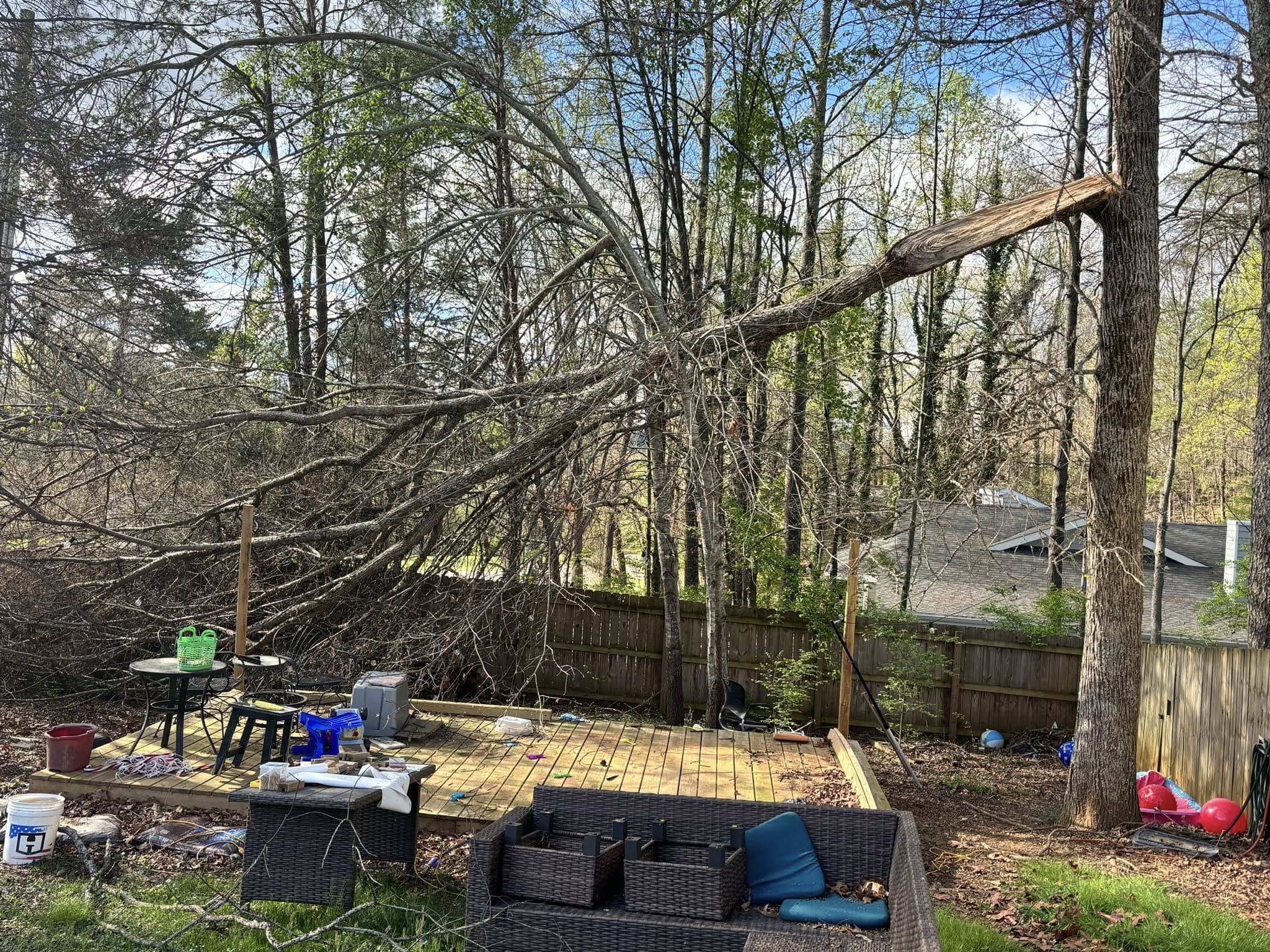  for Wade's Family Tree Service in Townsend, TN
