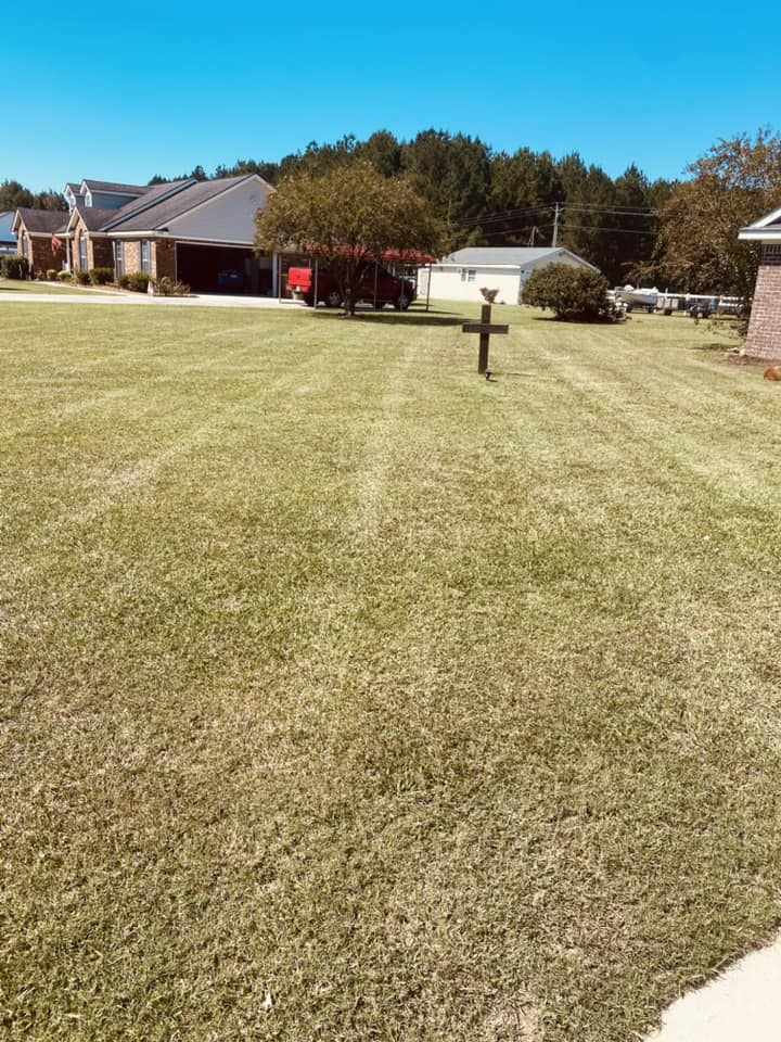  for T&S Land Management Services in Springfield, GA