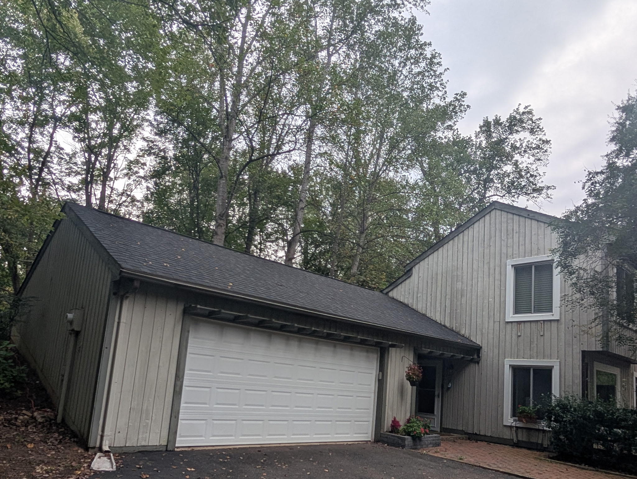  for Jz Painting Design Co. in Manassas, VA