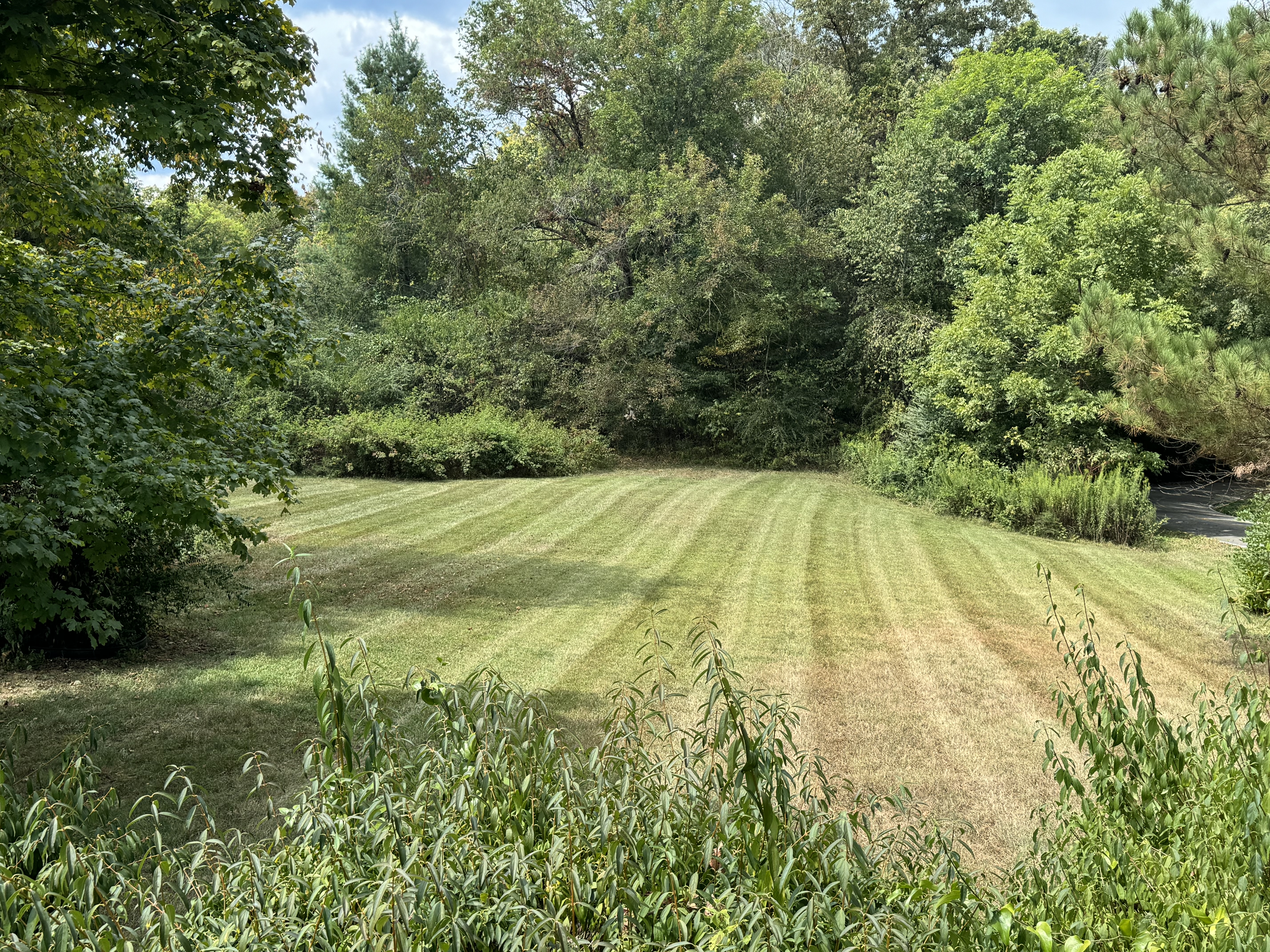  for Grass & Blast Property Solutions in Spring Hill, TN