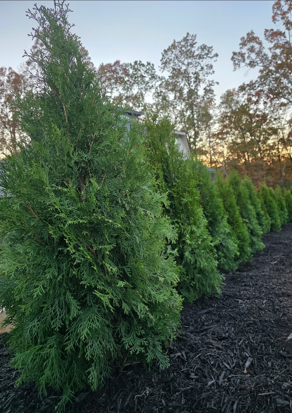  for D&D Unlimited Landscaping in Hartwell, GA