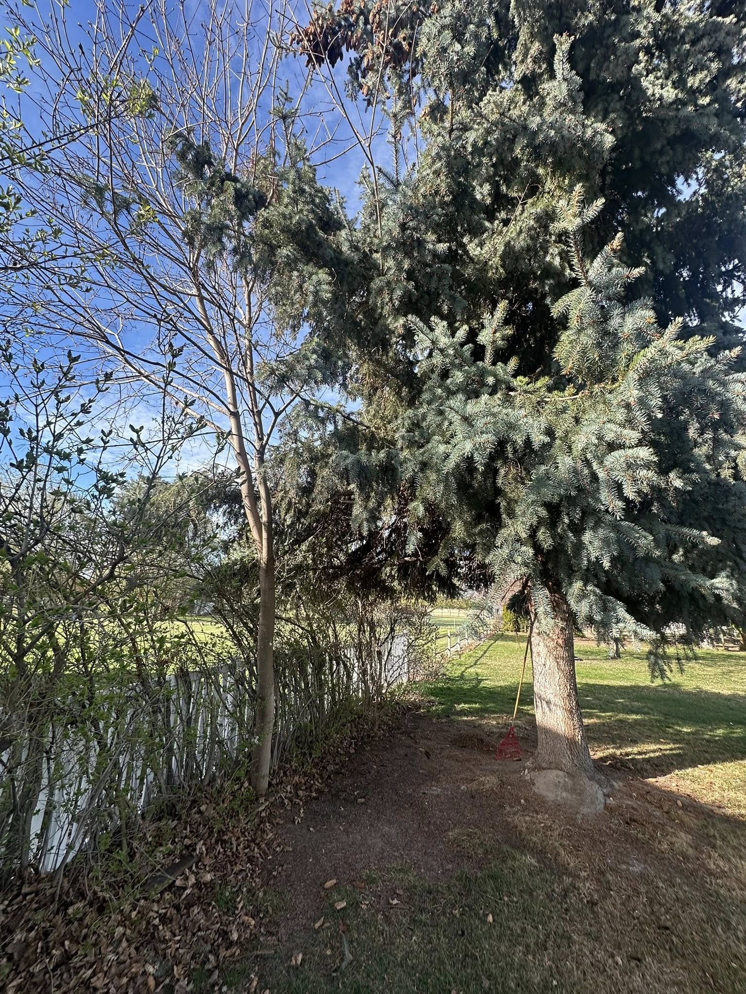  for Precision Landscapes LLC in Hamilton, MT