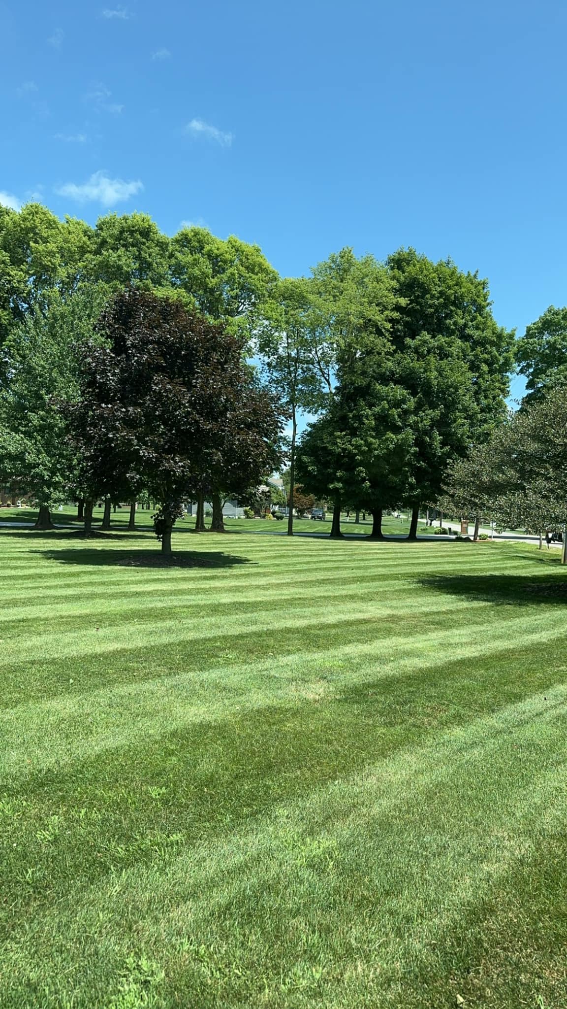  for Phipps Property Maintenance in Marysville, OH