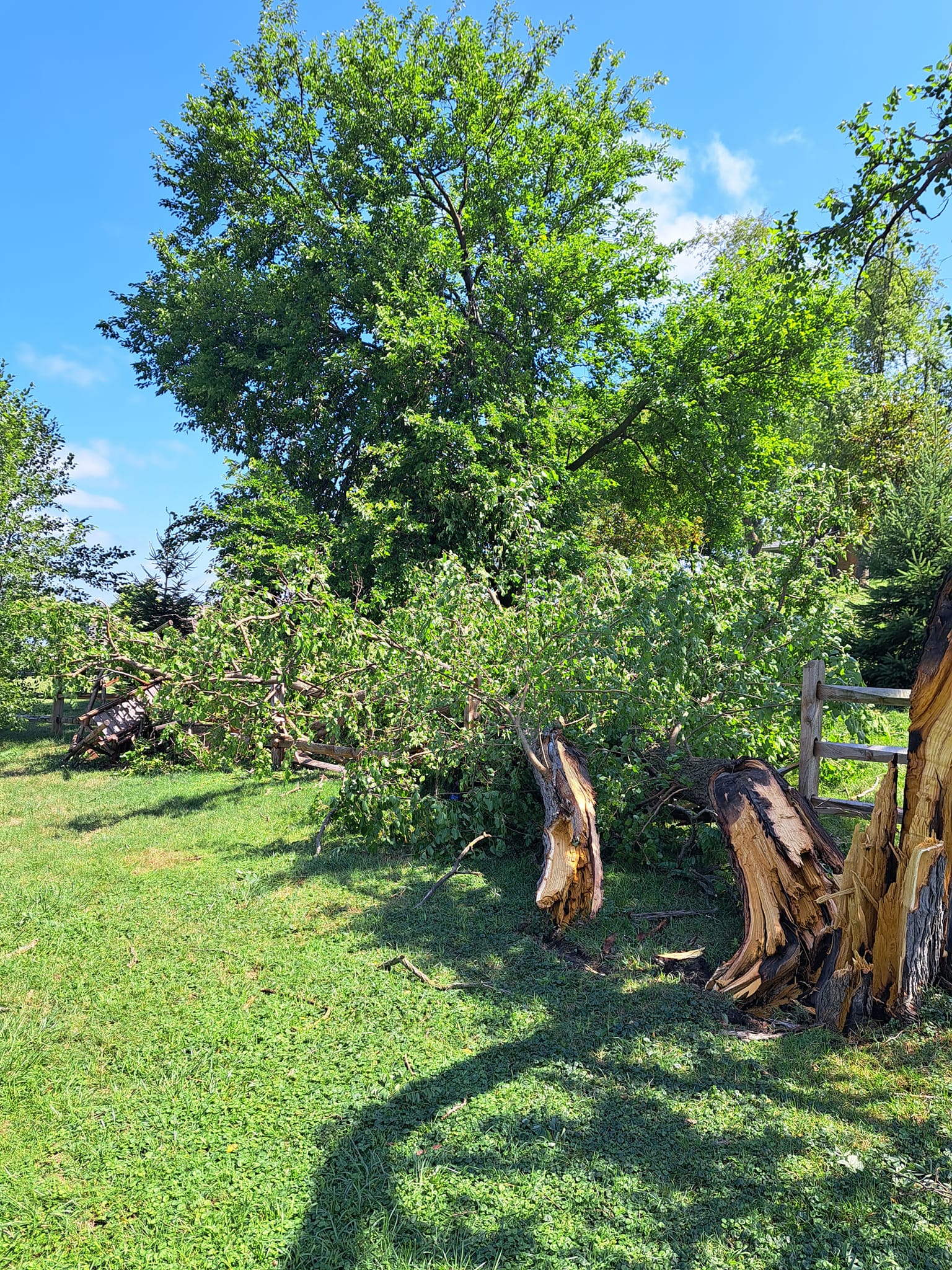  for God's Country Timber Management in Hillsdale, MI