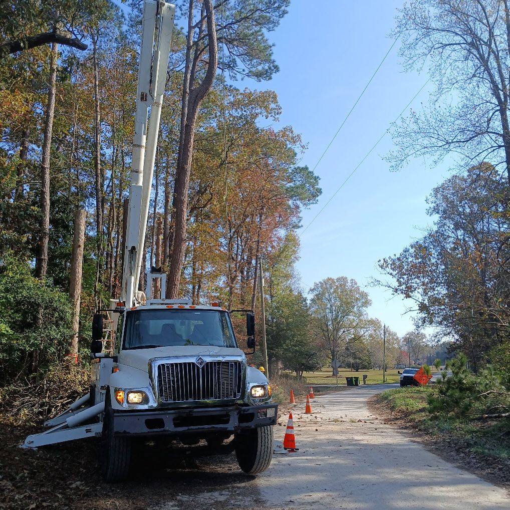 tree service company Kingdom Riderz Hauling And Tree Service in Tar Heel, NC