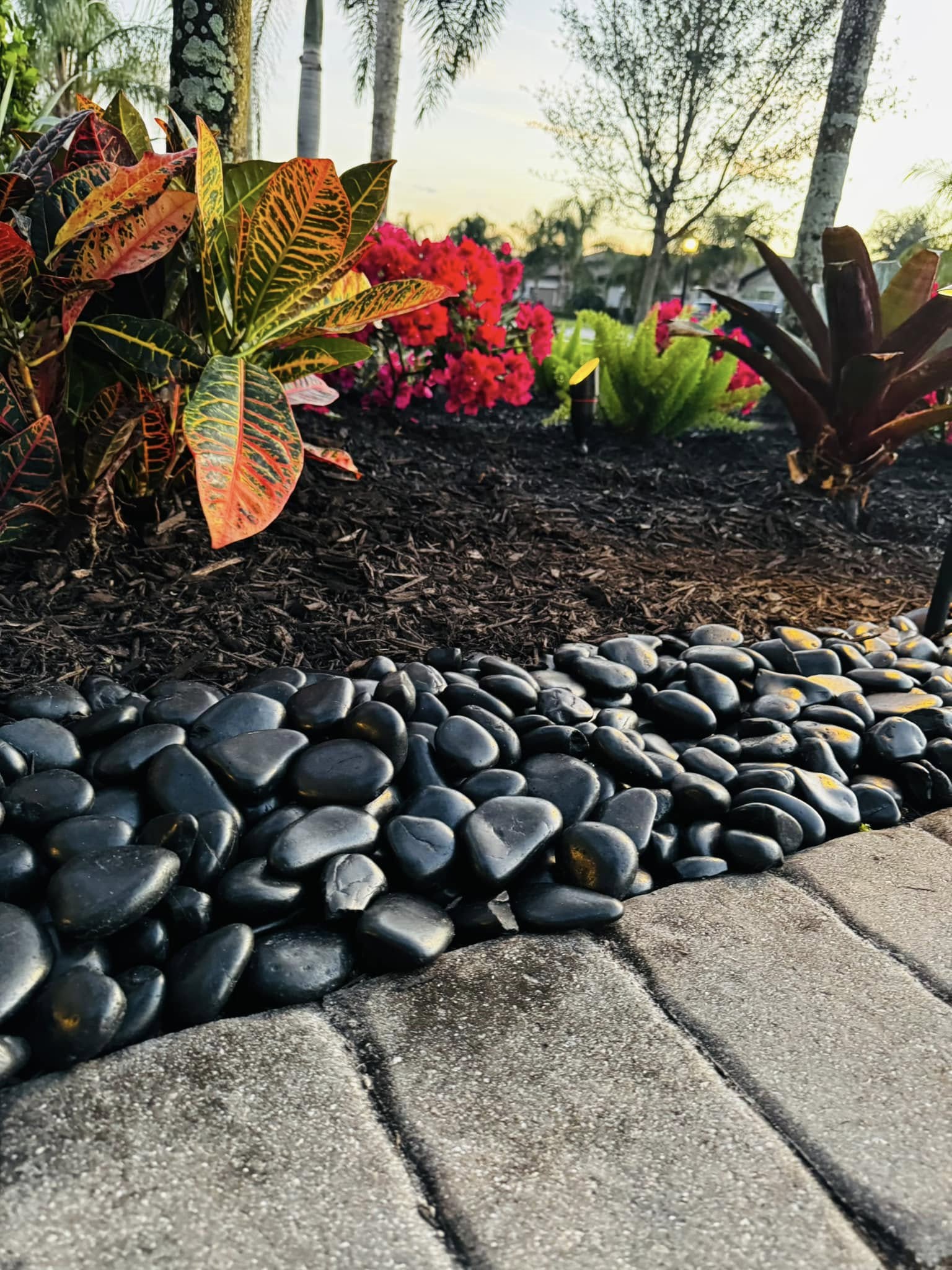  for Kozy Lawn & Landscapes in Castroville, TX