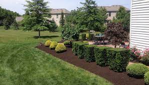  for Blue Ribbon Tree Service in Gilford, NH