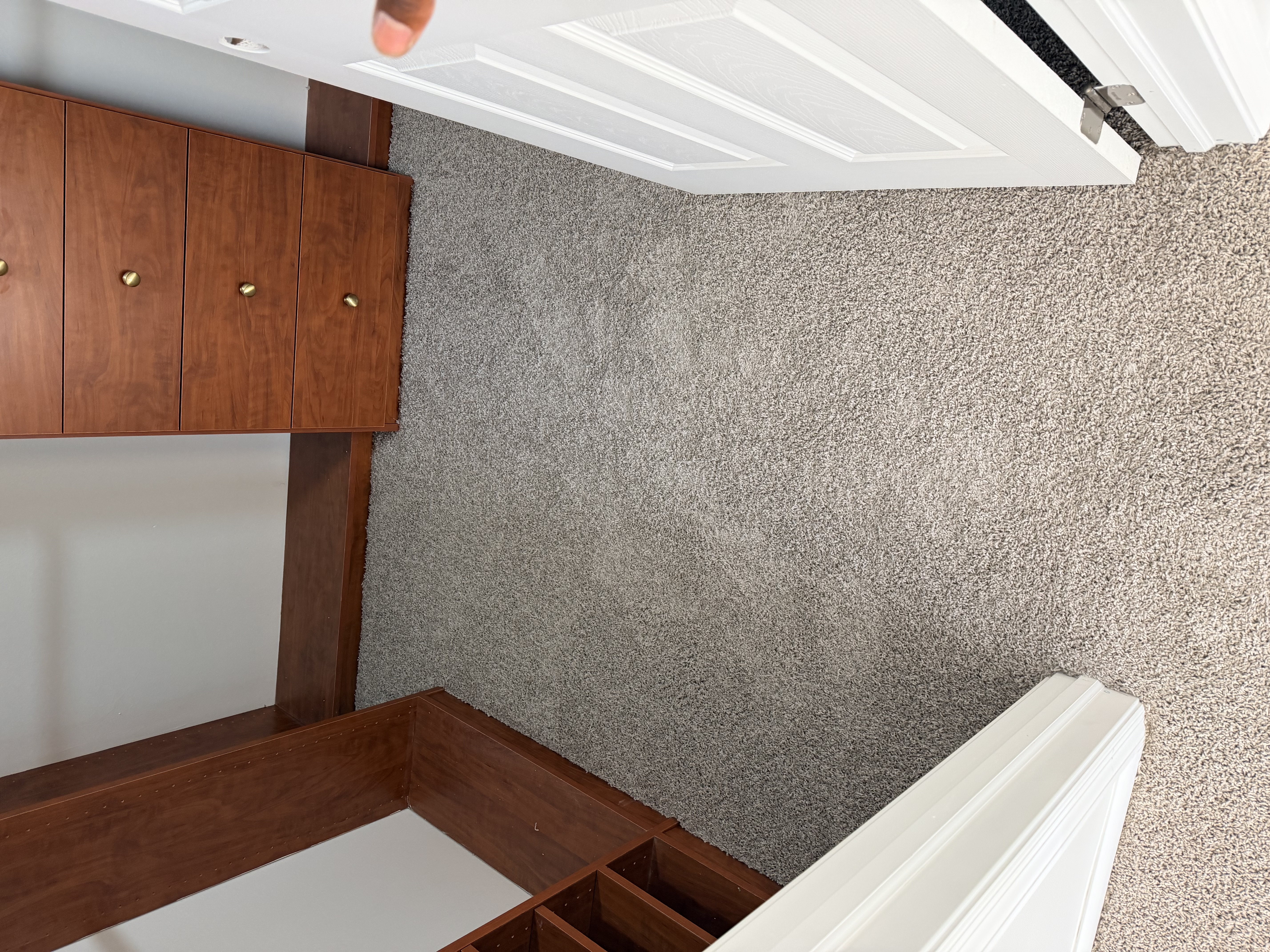 Walk-in closet in a Tampa, FL home with new grey carpet