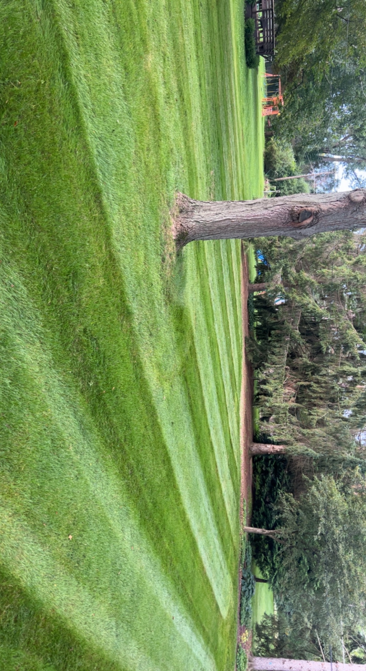  for Hammond Landscape in Okemos, MI