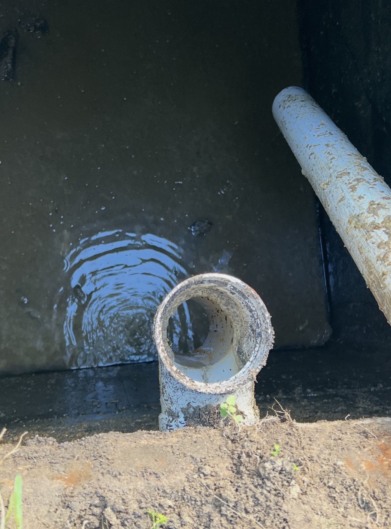  for Masse Septic & Plumbing in Sylvania, GA