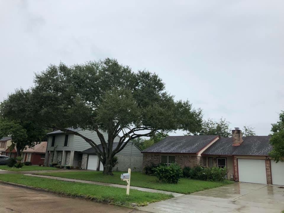  for Greenfield Tree Services in Manvel, TX