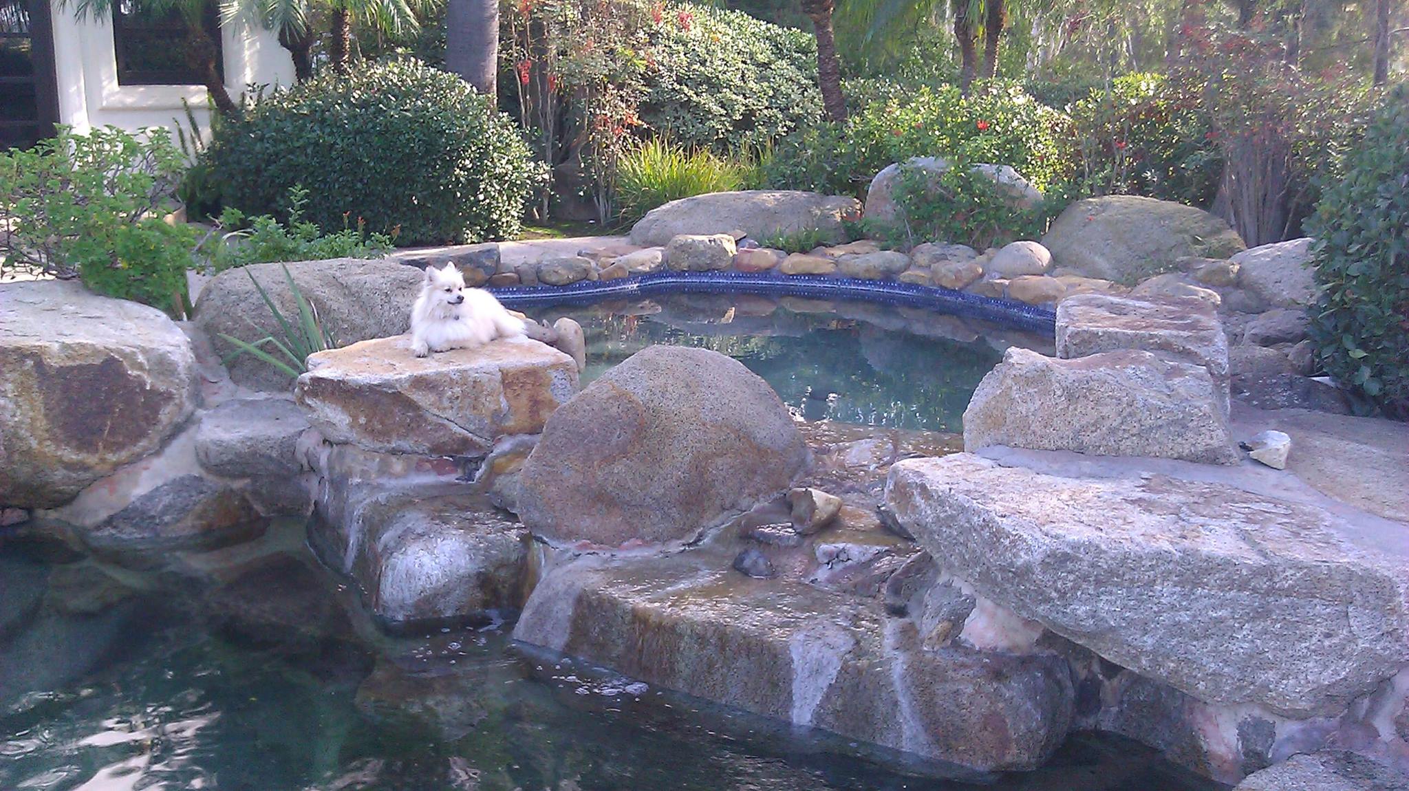  for Pool Perfection in Lake Havasu City, AZ