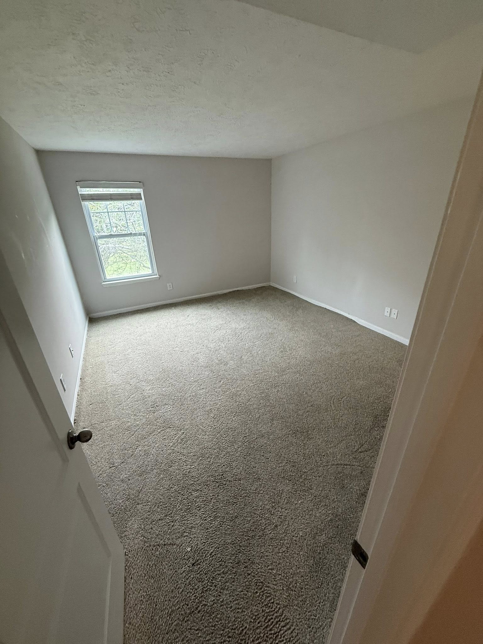  for Pro Master Painting Company in Murfreesboro, TN