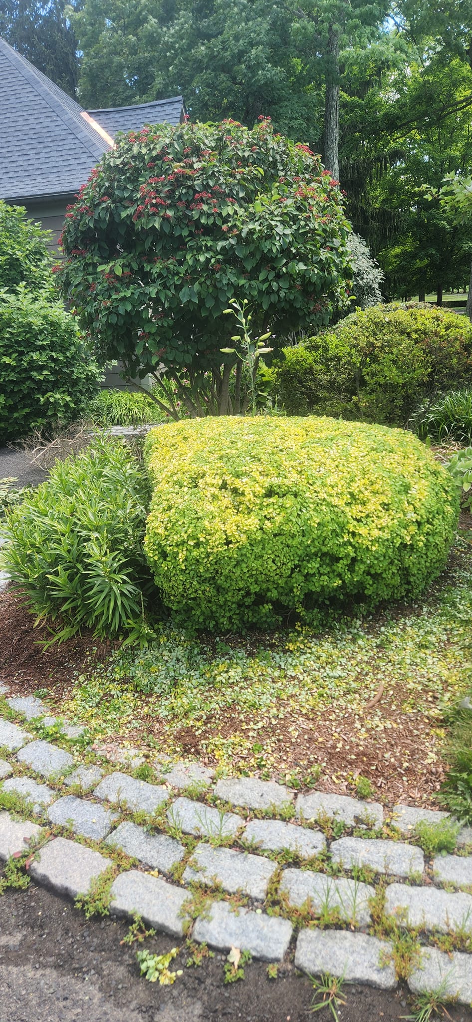  for Cristians Maintenance and Hardscaping llc in Bedminster, NJ