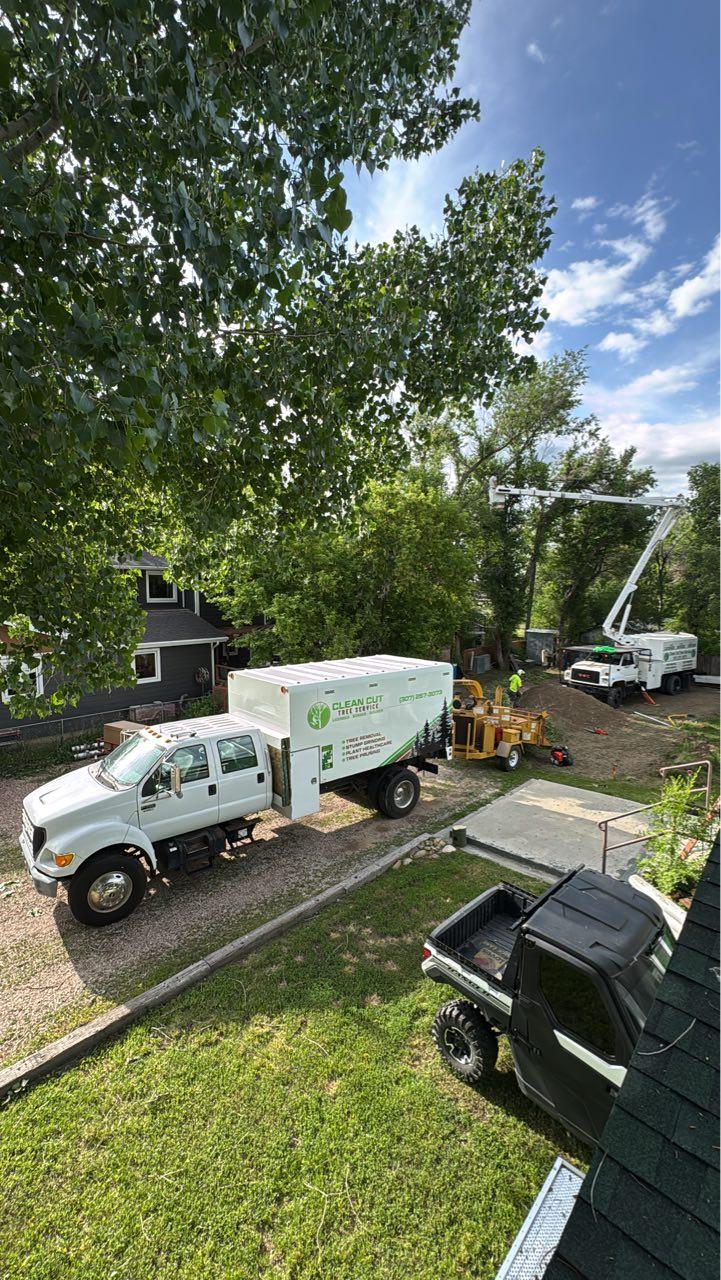 Clean Cut Tree Service team in Gillette, WY - people or person