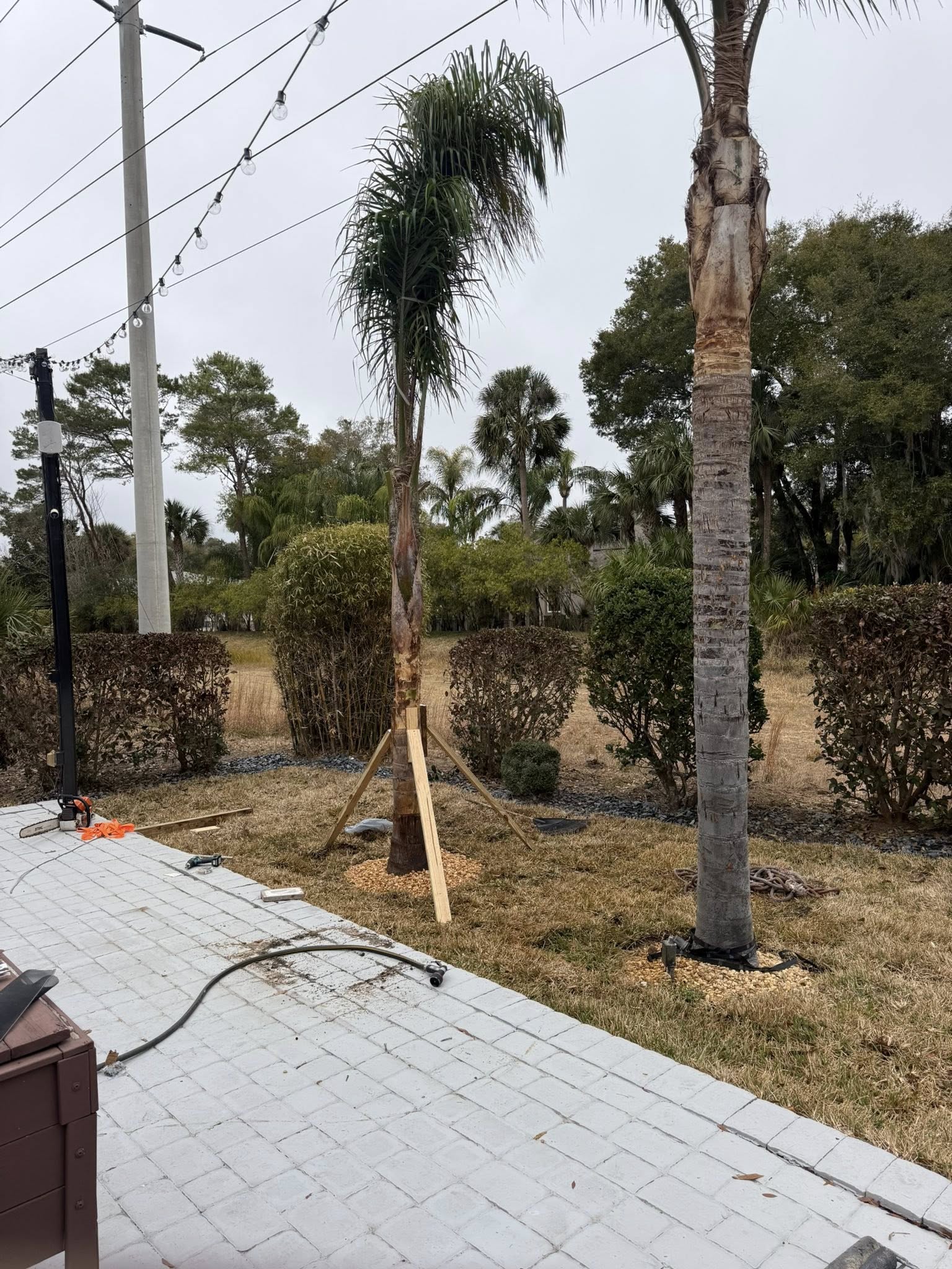  for Grind Time Tree Service in Daytona, FL
