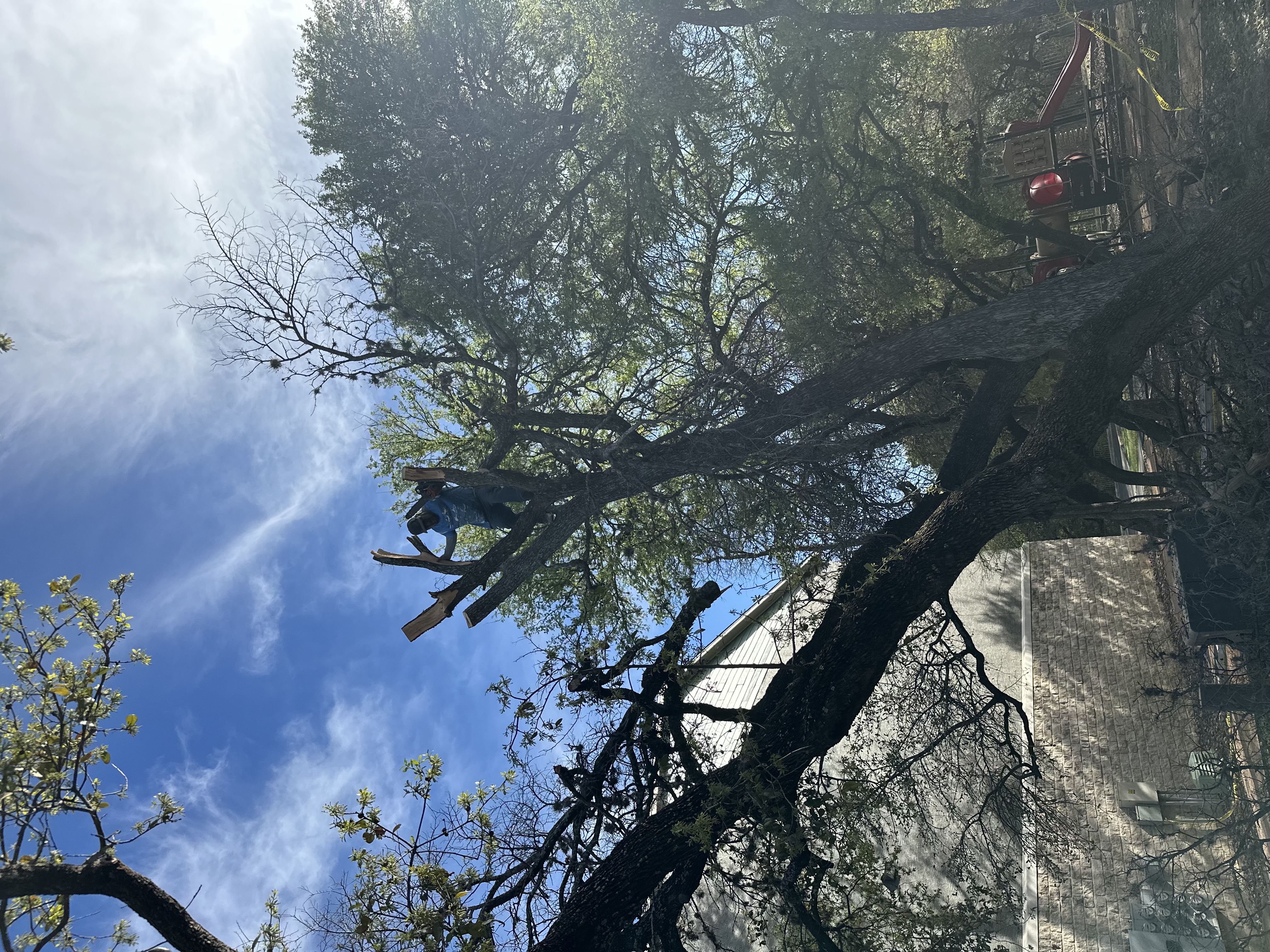  for DR Landscape in San Antonio, TX