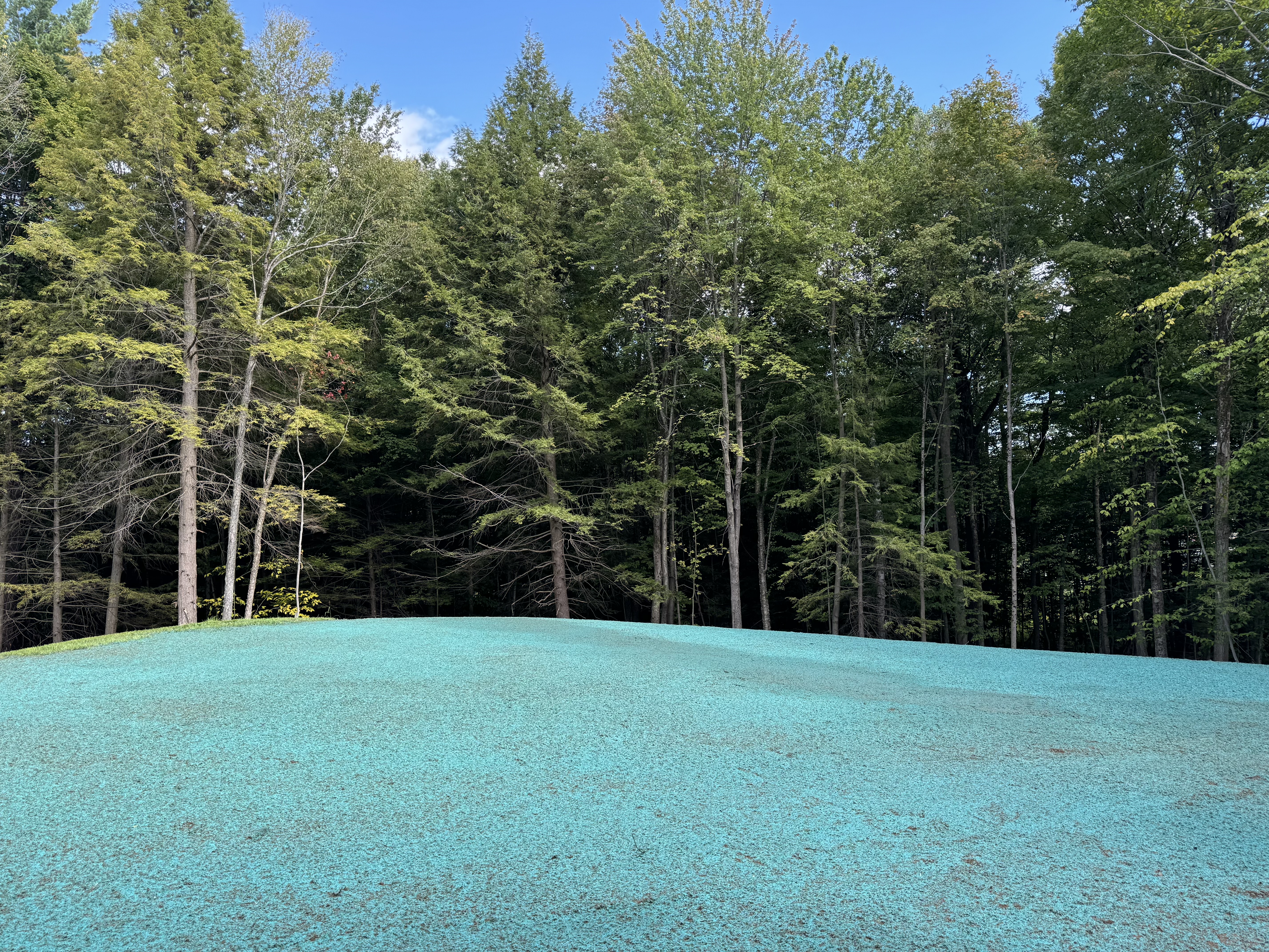  for The Lawn Guy Landscape & Hardscape Solutions in Saratoga Springs, NY