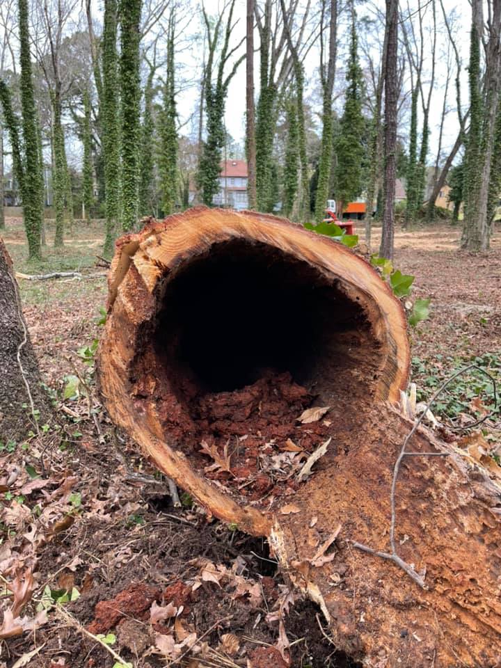  for Falcon stump grinding Tree services in Loganville, GA
