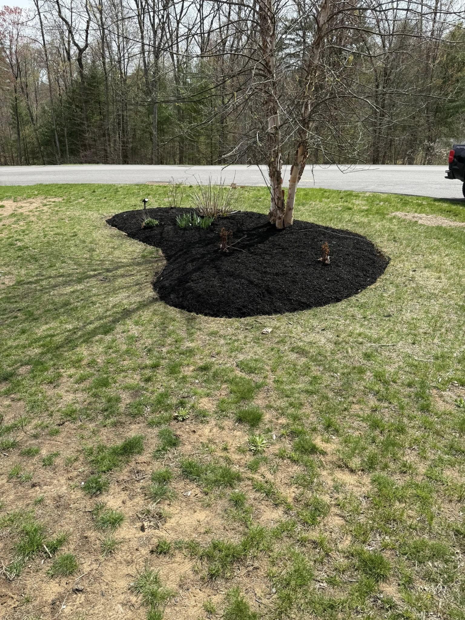  for Katinas Properties Maintenance in Albany, NY