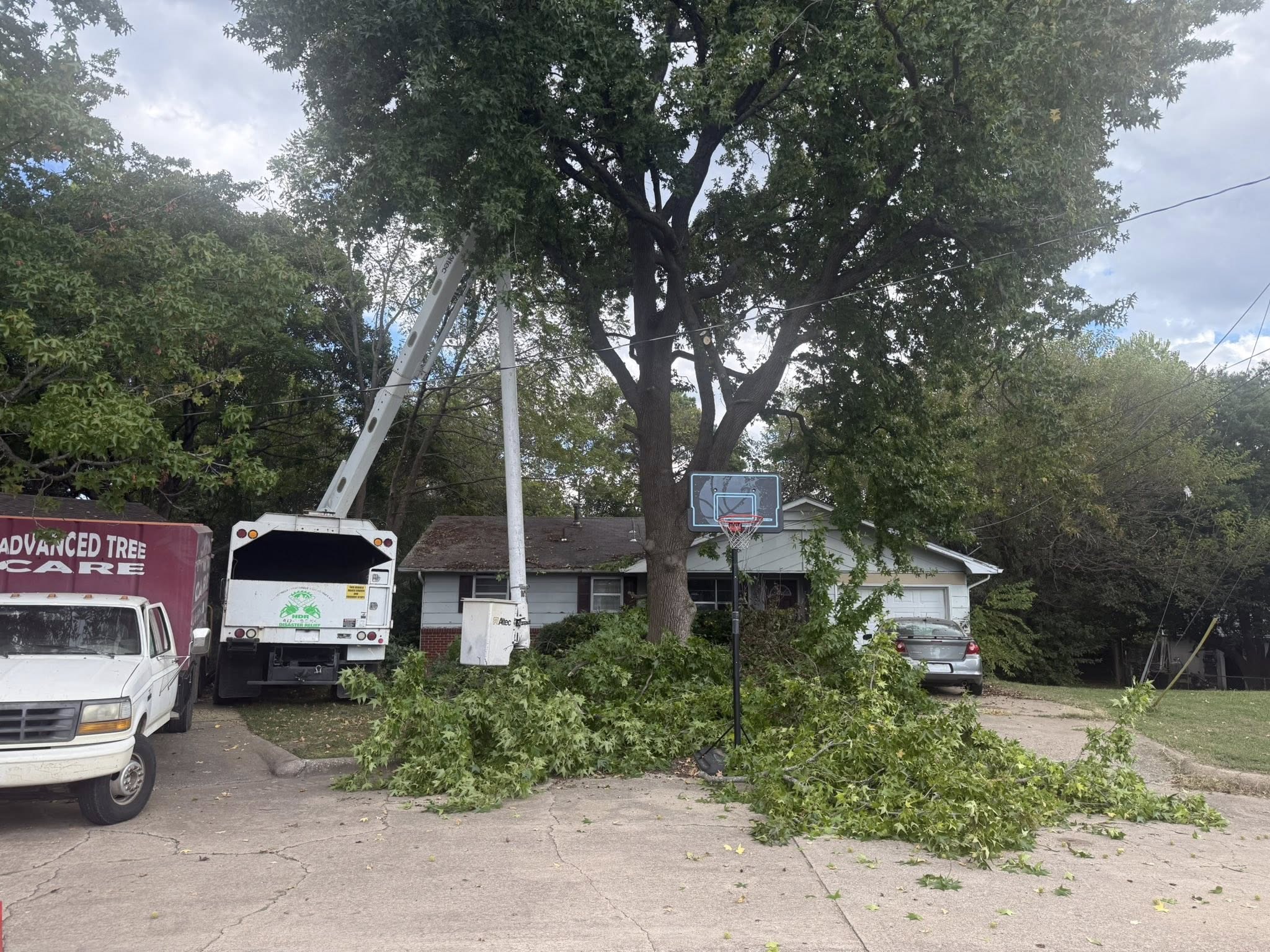  for Lightning Tree Service in Fair Grove, MO