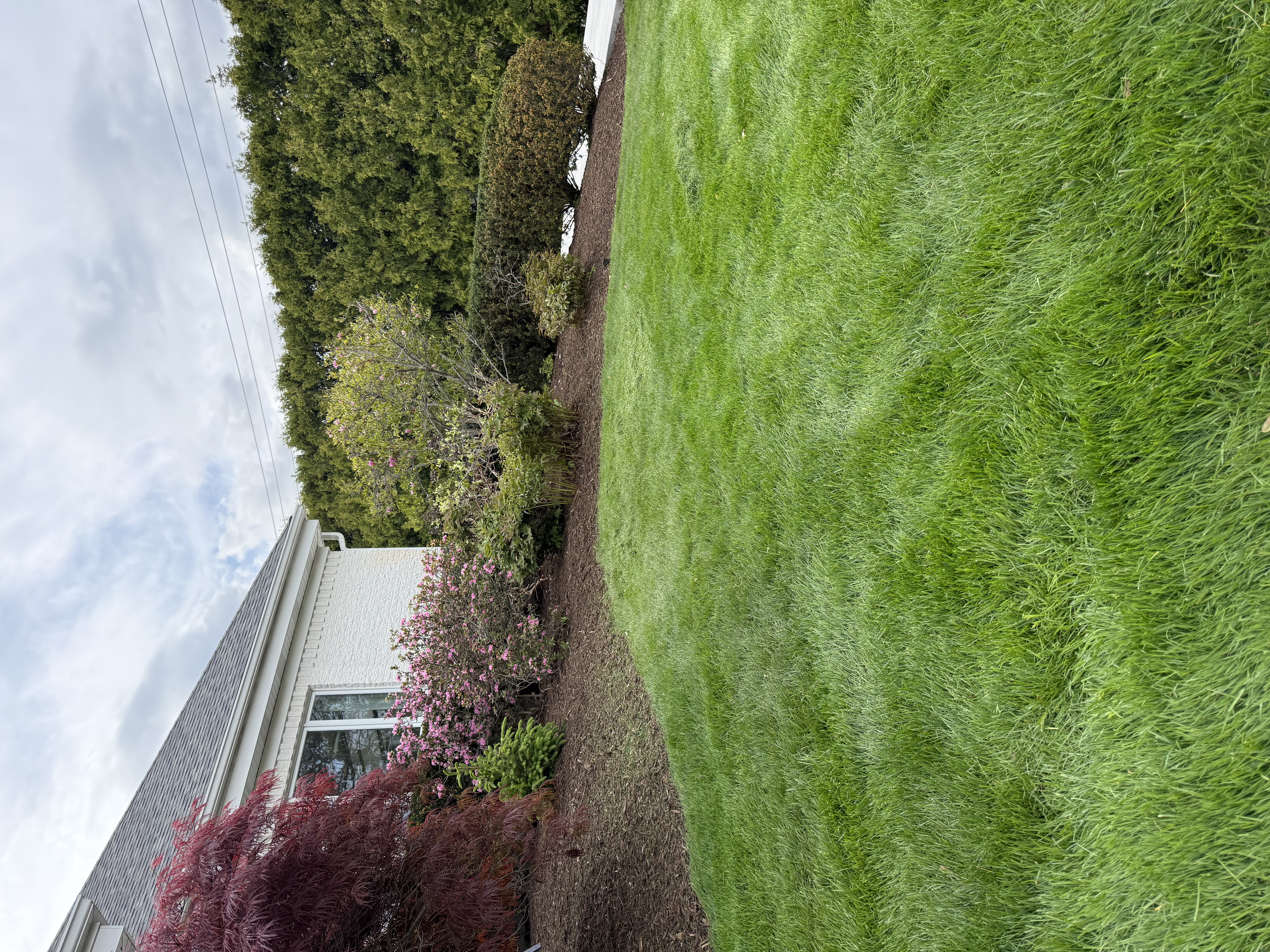  for Mulch & Dig in West Bloomfield Township, MI