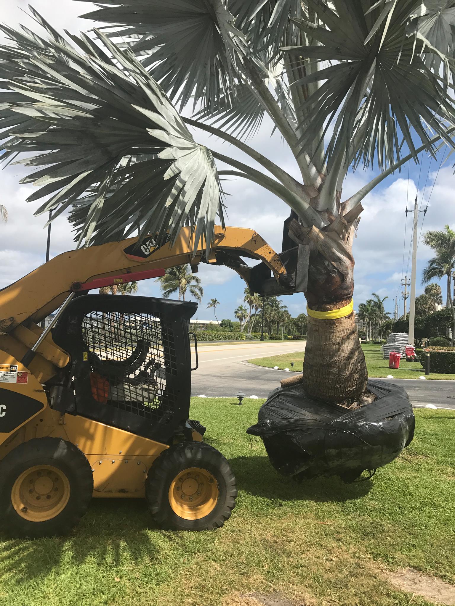 WORKS SOD team in West Palm Beach, FL - people or person