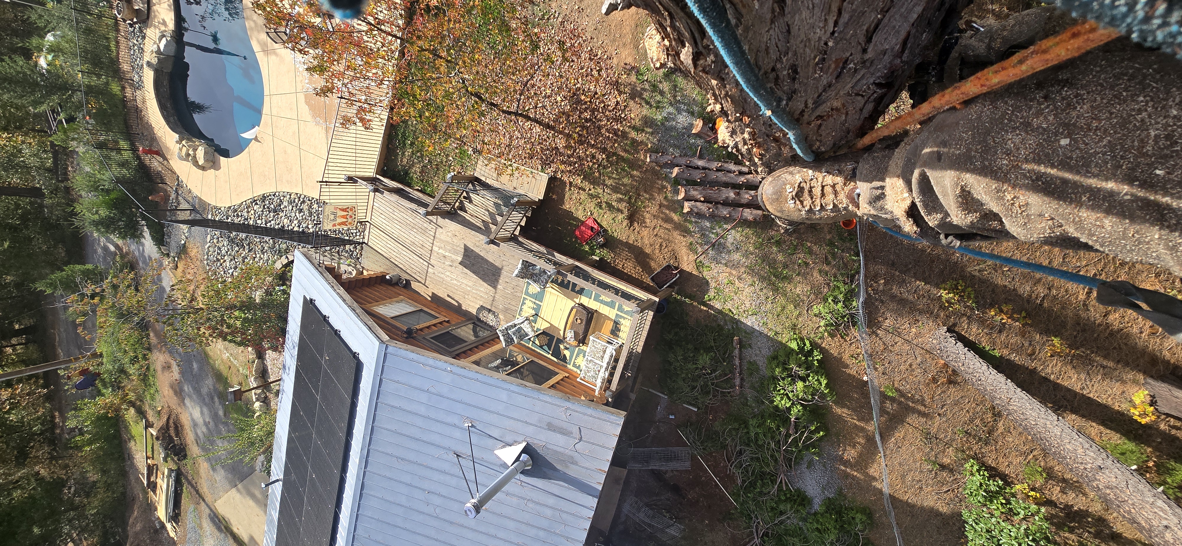  for George Staddan's Professional Tree Care in Placerville, CA