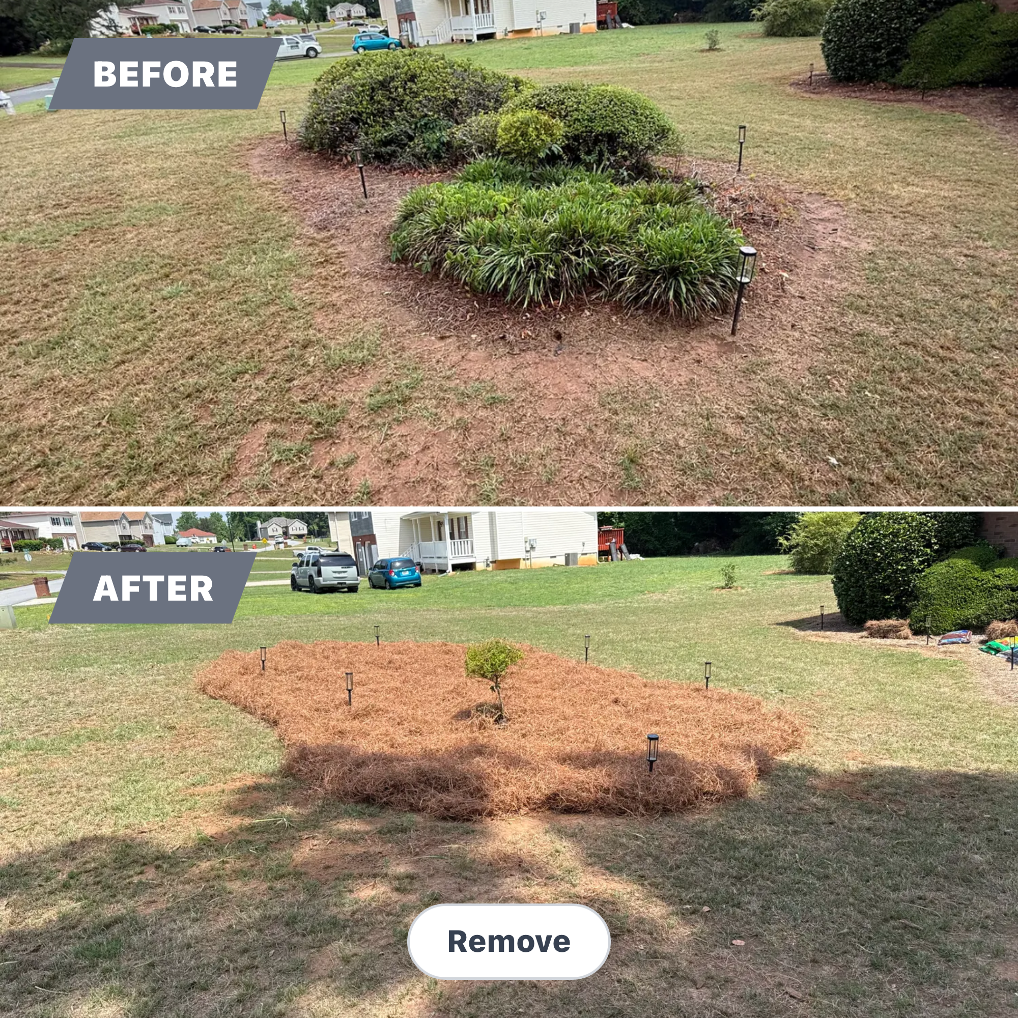  for Prime Lawn LLC in Conyers, GA