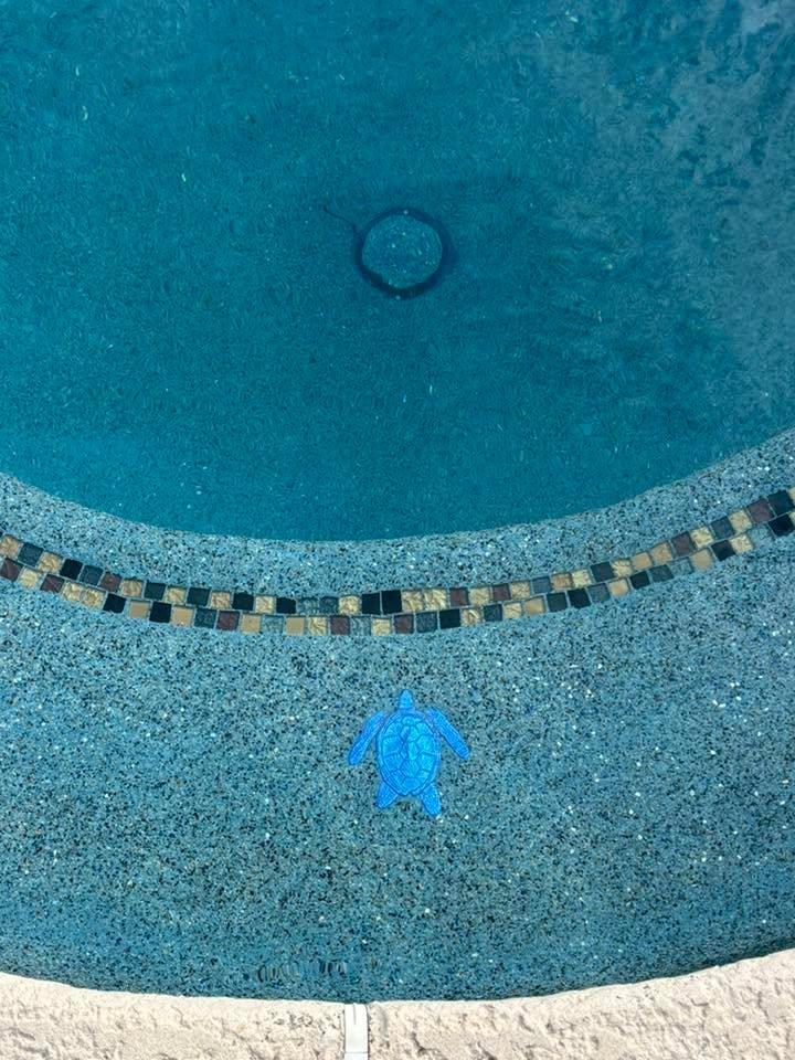  for 123 Pool Renovations in Houston, TX