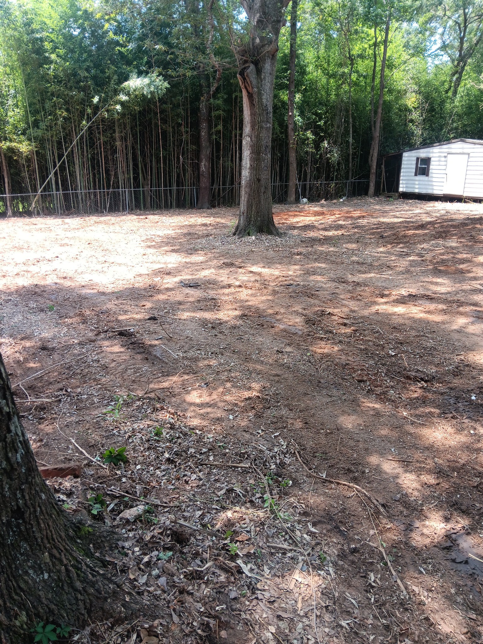  for Big C Land Management in Anniston, AL