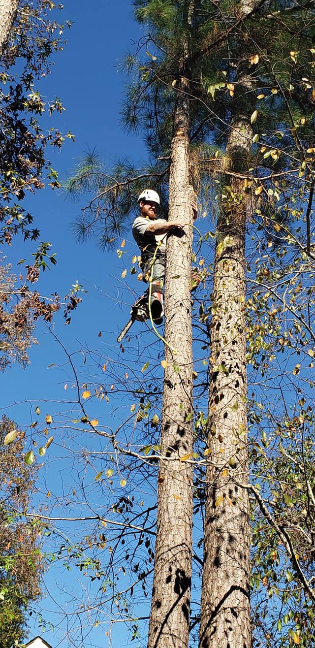  for Trees Unlimited of the CSRA in Augusta, GA