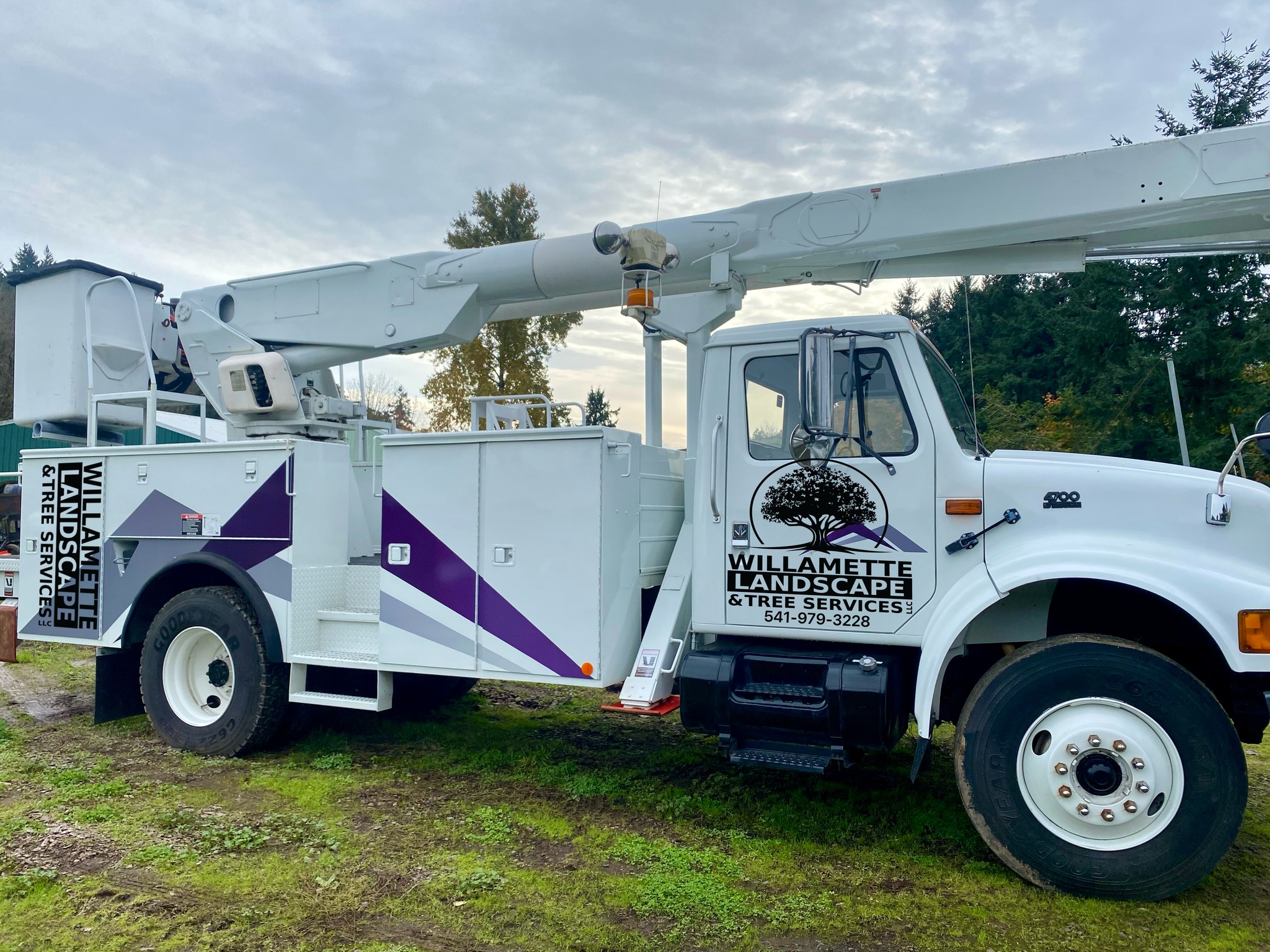  for Willamette Landscaping and Tree Services in Albany, OR