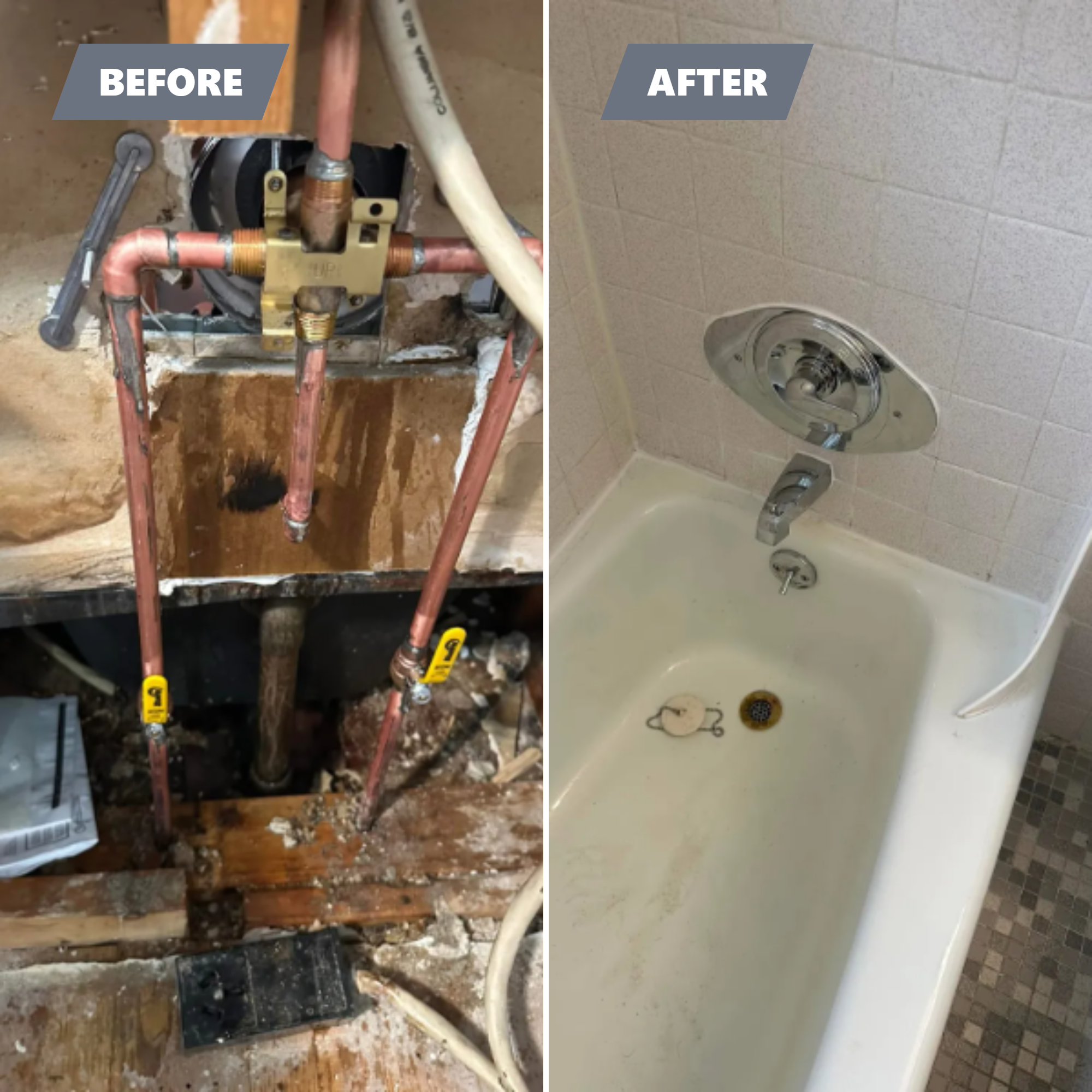  for Biddle's Services LLC in Edgewater, MD