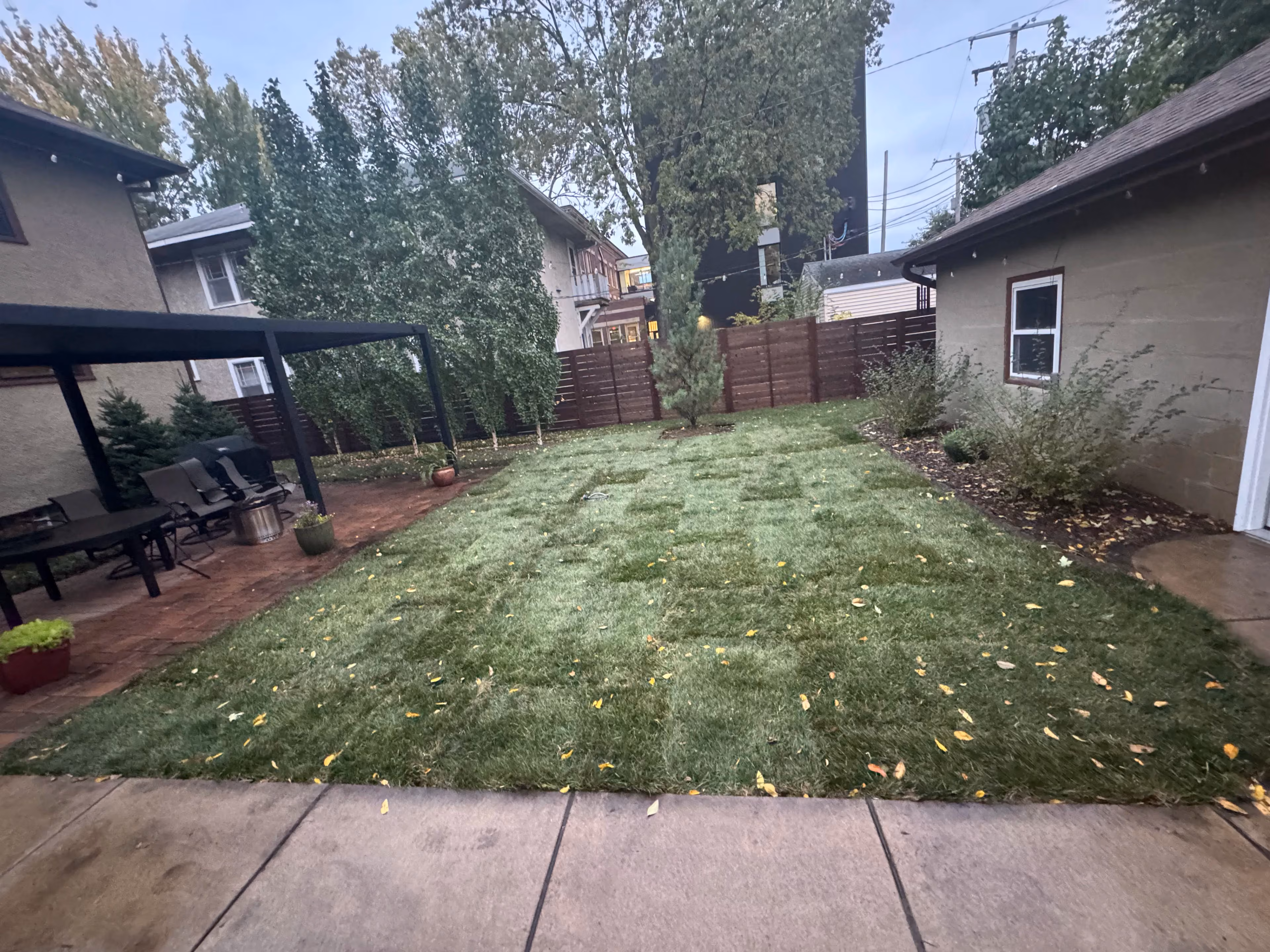 Snowy Yard Transformed into Lush Lawn in Minneapolis