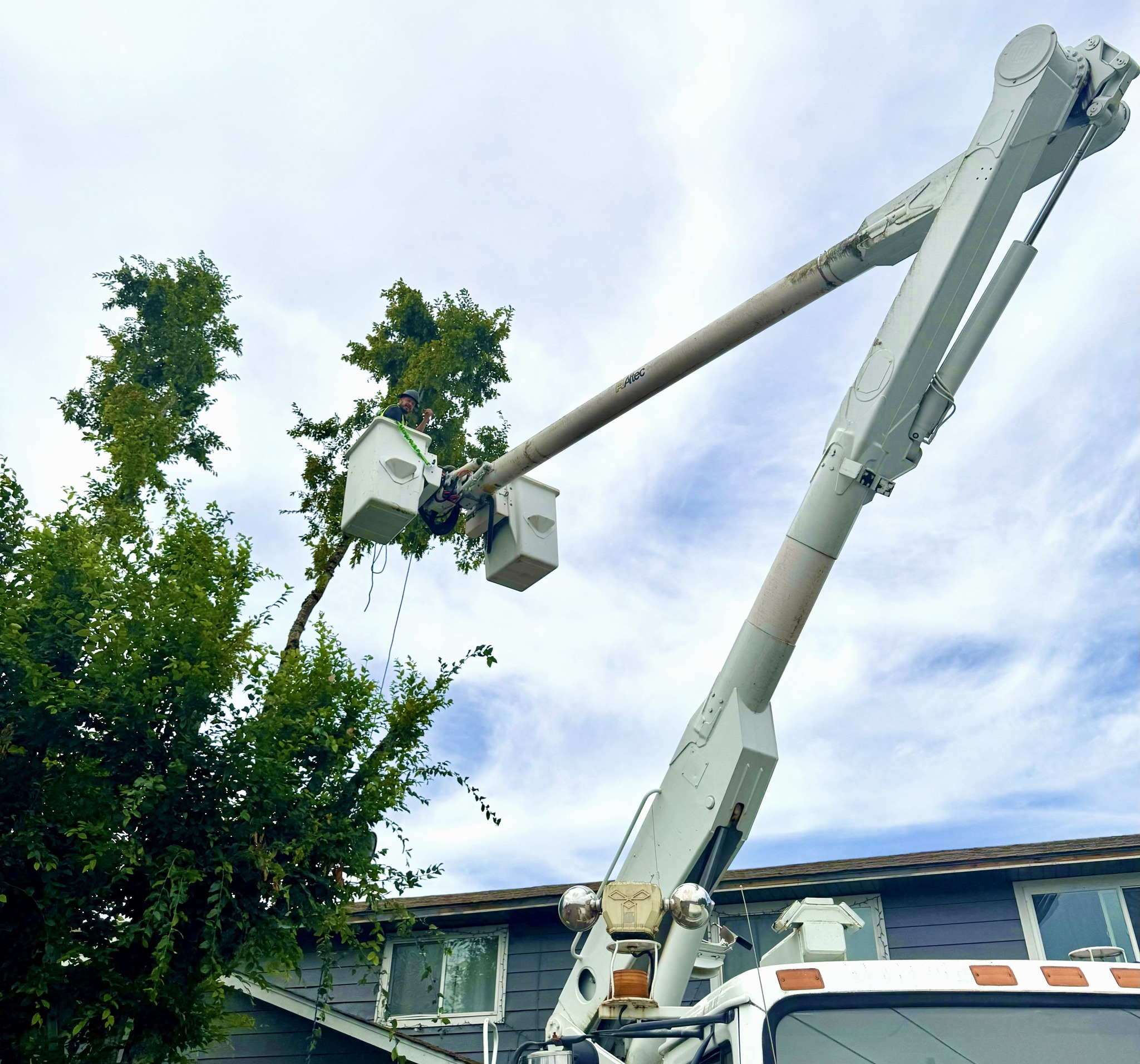  for Willamette Landscaping and Tree Services in Albany, OR