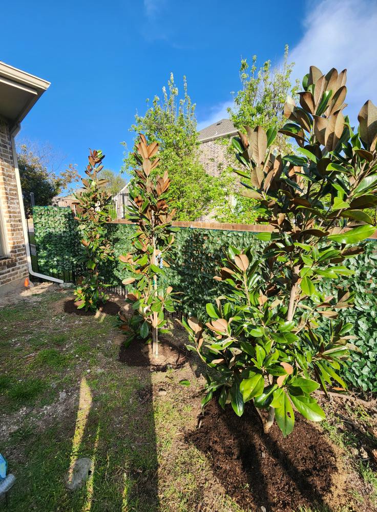  for Lavon Lawn Plus in Lavon, TX