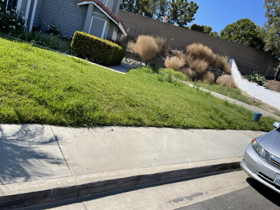  for Benito's Gardening in San Juan Capistrano, CA