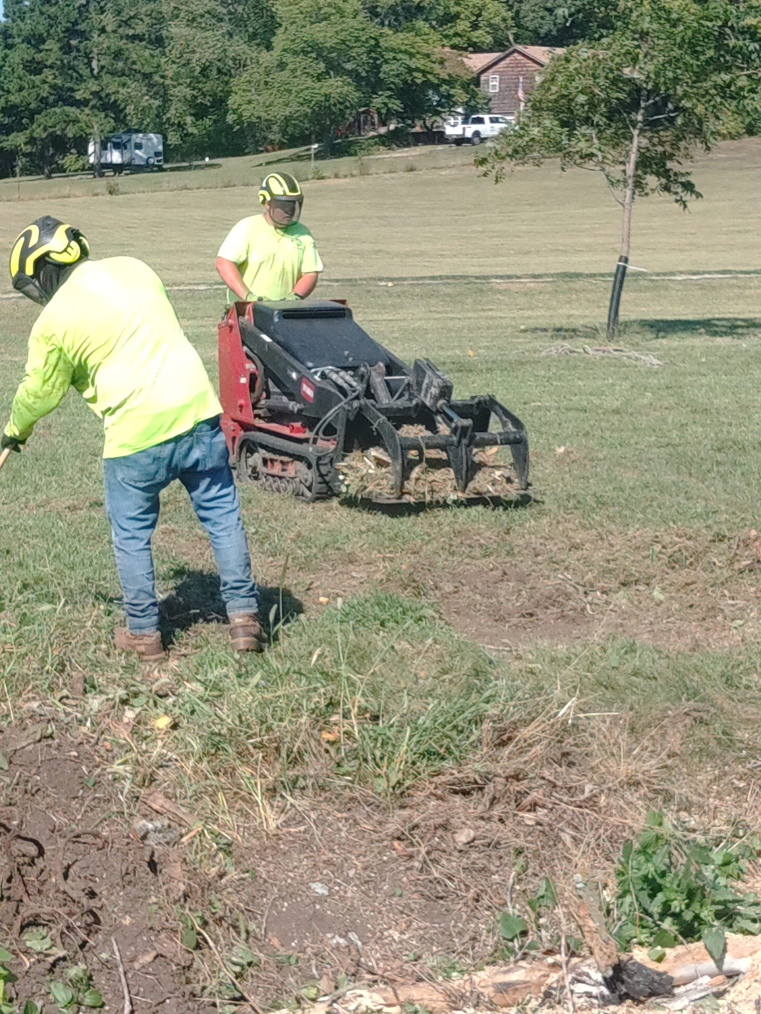  for Mitchell Tree Company in Lathrop, MO