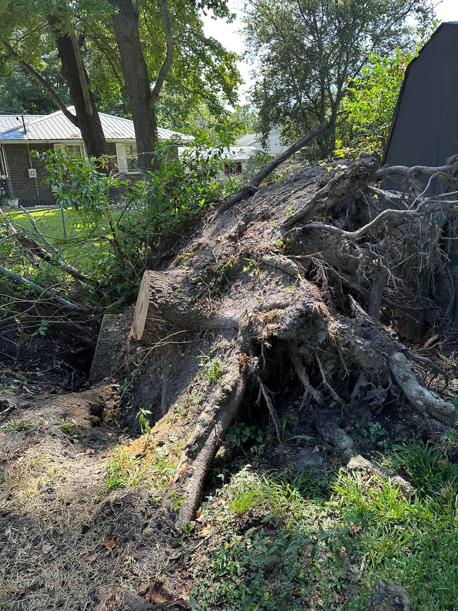  for Dozier Stump Grinding in Augusta, GA