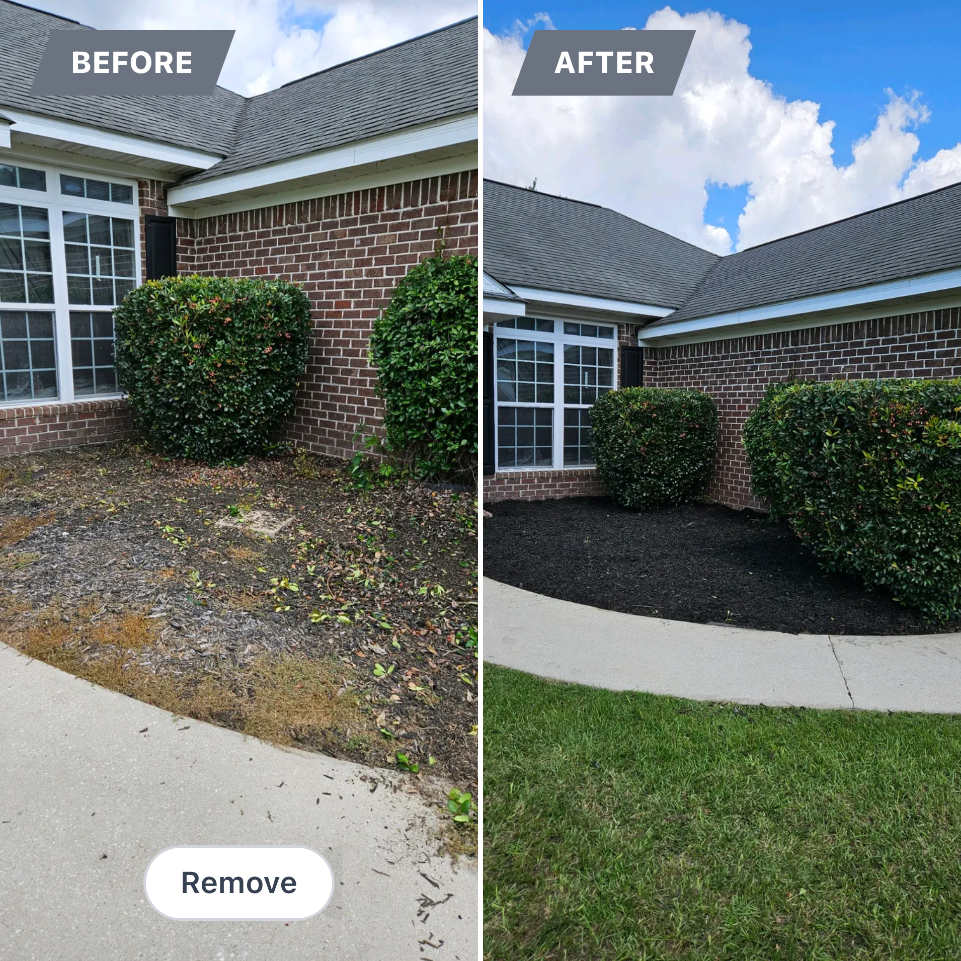  for T&S Land Management Services in Effingham County, GA