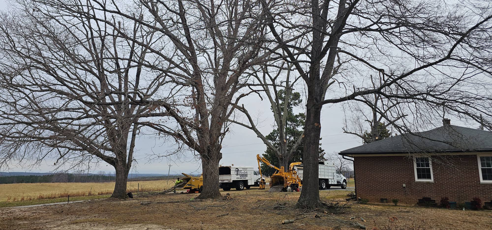  for Hamlett Tree Service LLC in Clover, VA