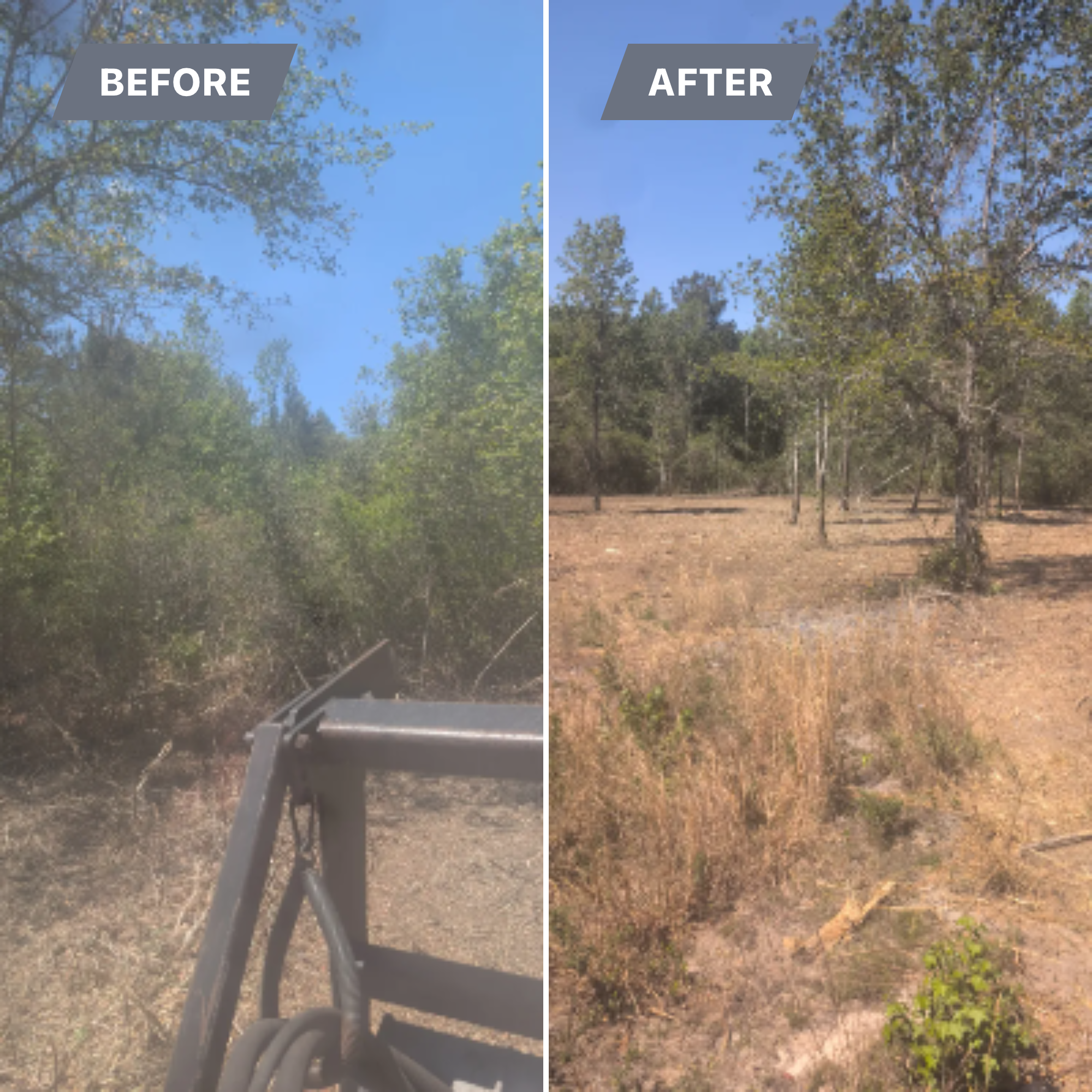  for TDWS Land Management in Blackshear, GA