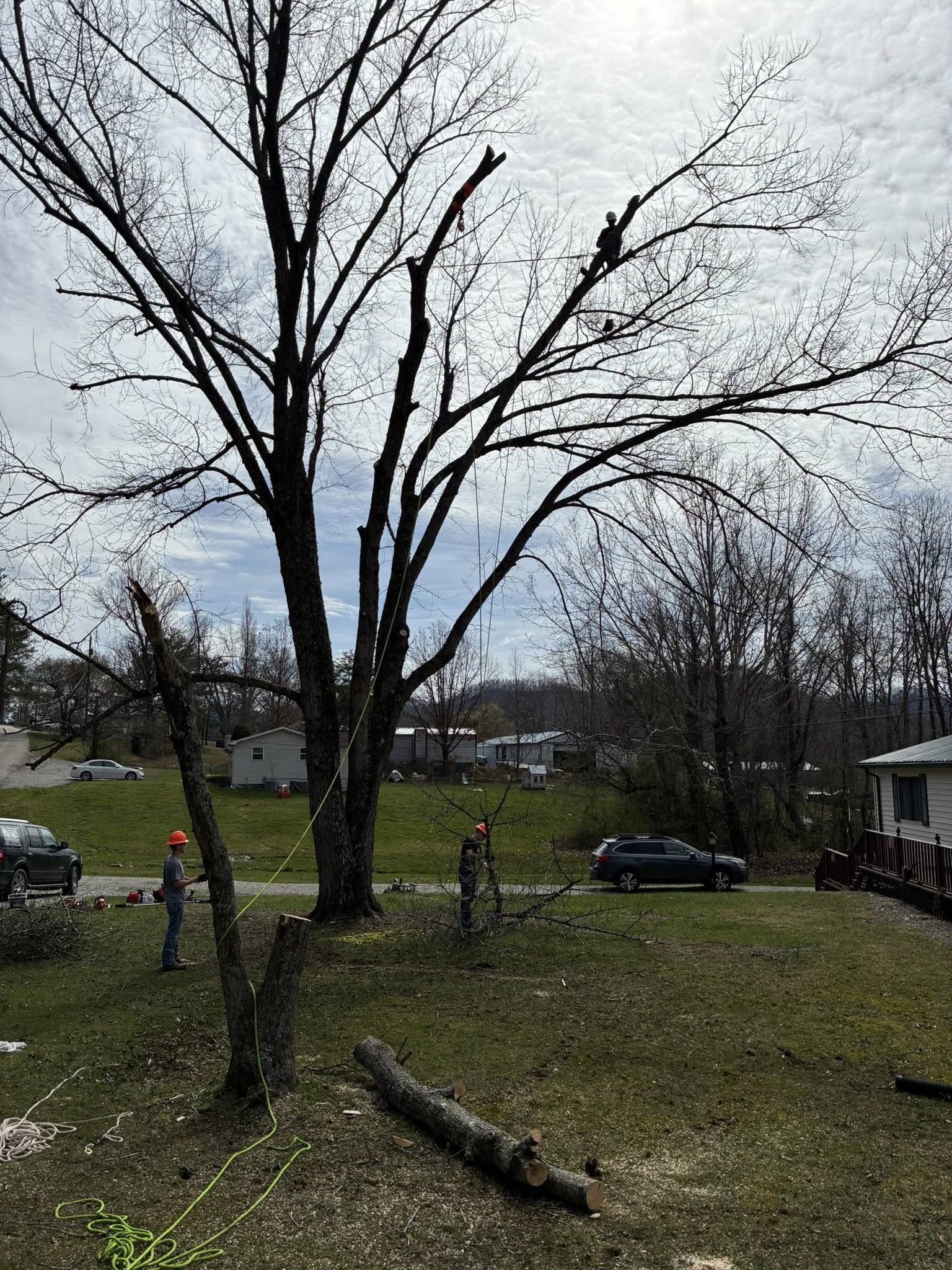  for Skys The Limit Tree Management in Morehead, KY