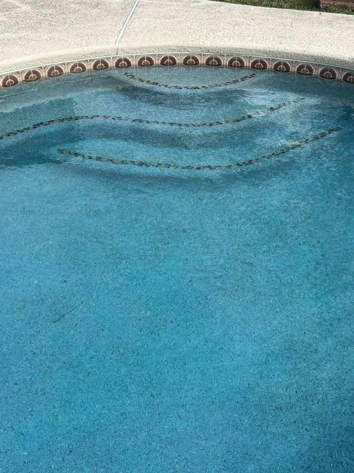  for 123 Pool Renovations in Houston, TX