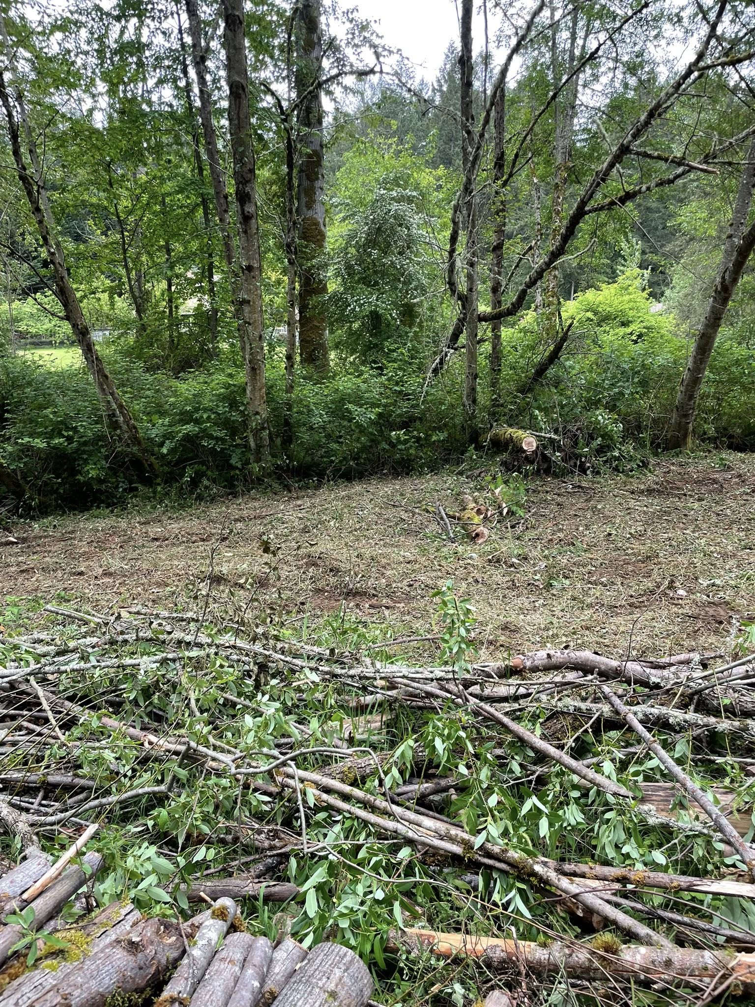 for Wilderness Stump Grinding in Orting, WA